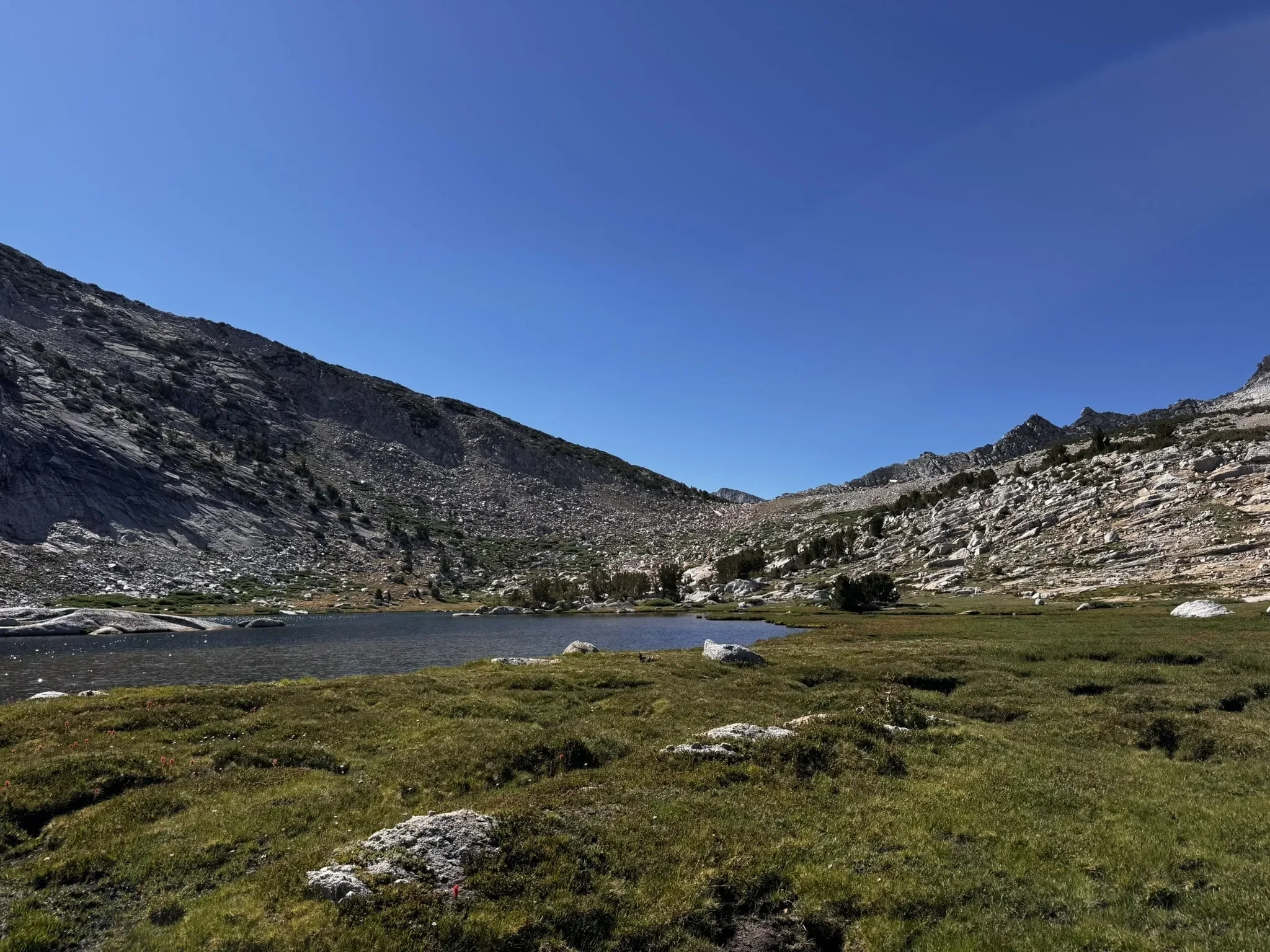 Vogelsang lake all trails image.webp