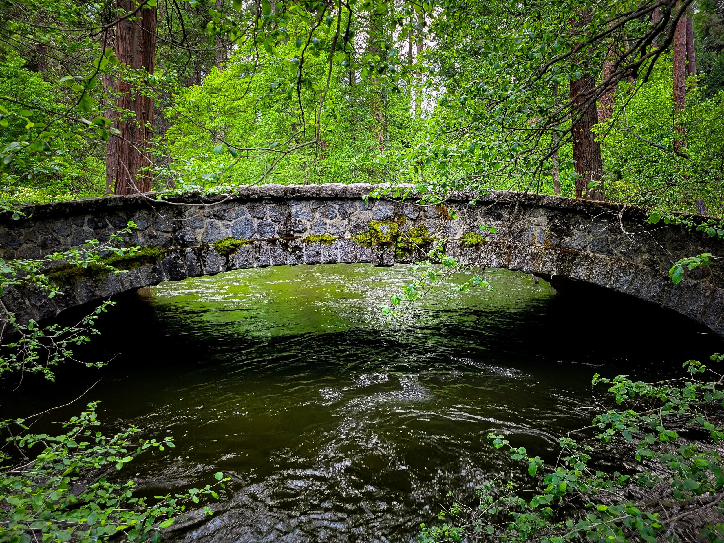 Yosemite Falls Valley explorer day hike