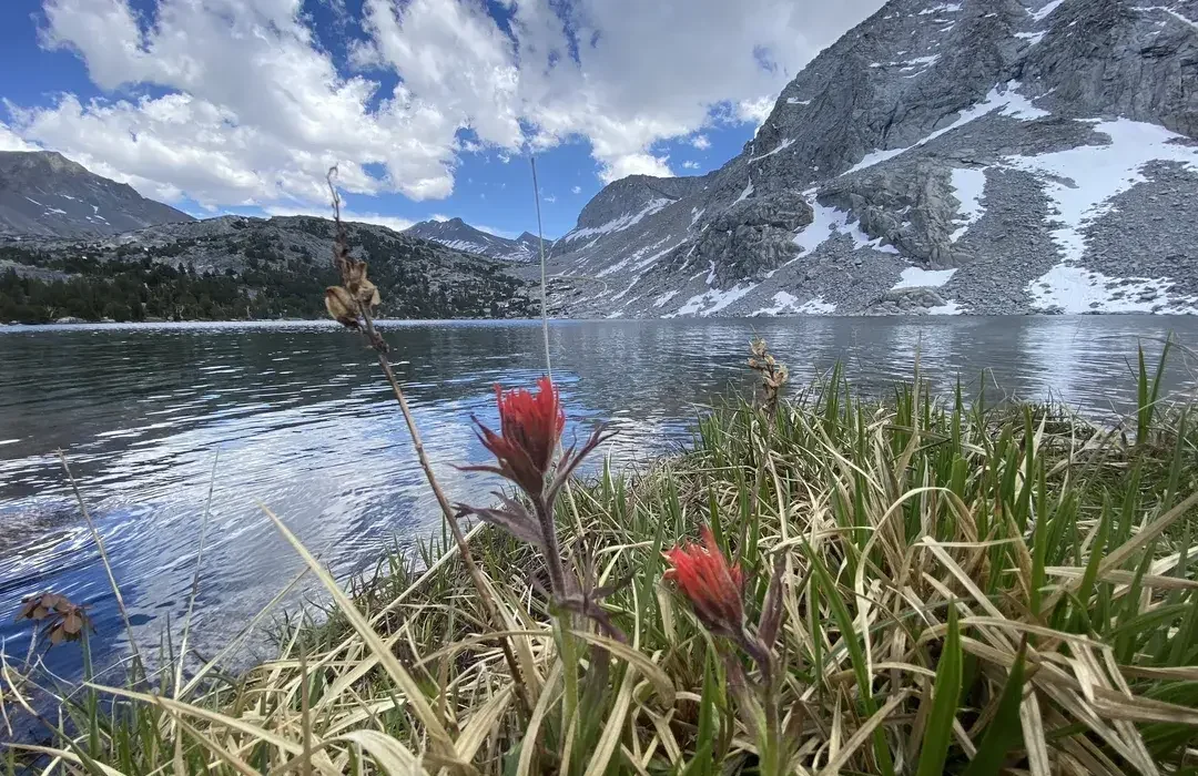 Vogalsang lake with paintbrush all trails image.webp