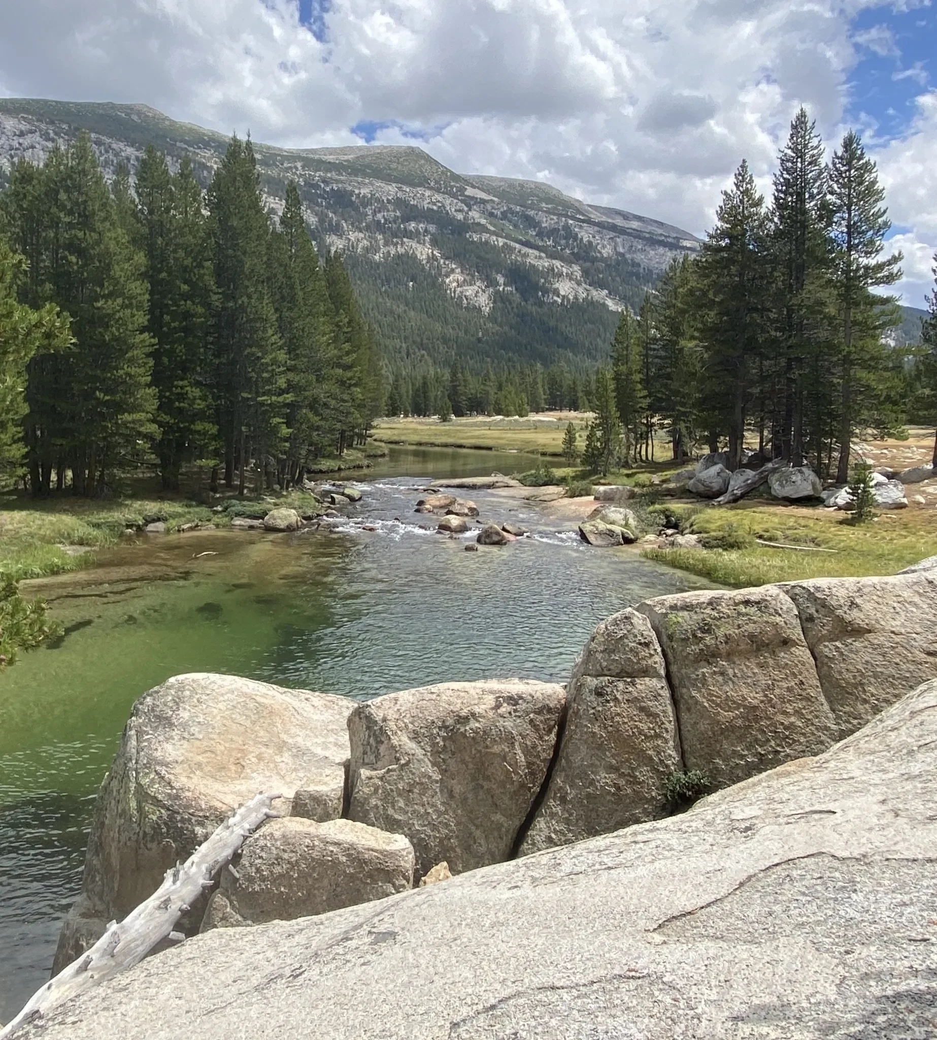 Lyell Canyon Fork all trails image.webp