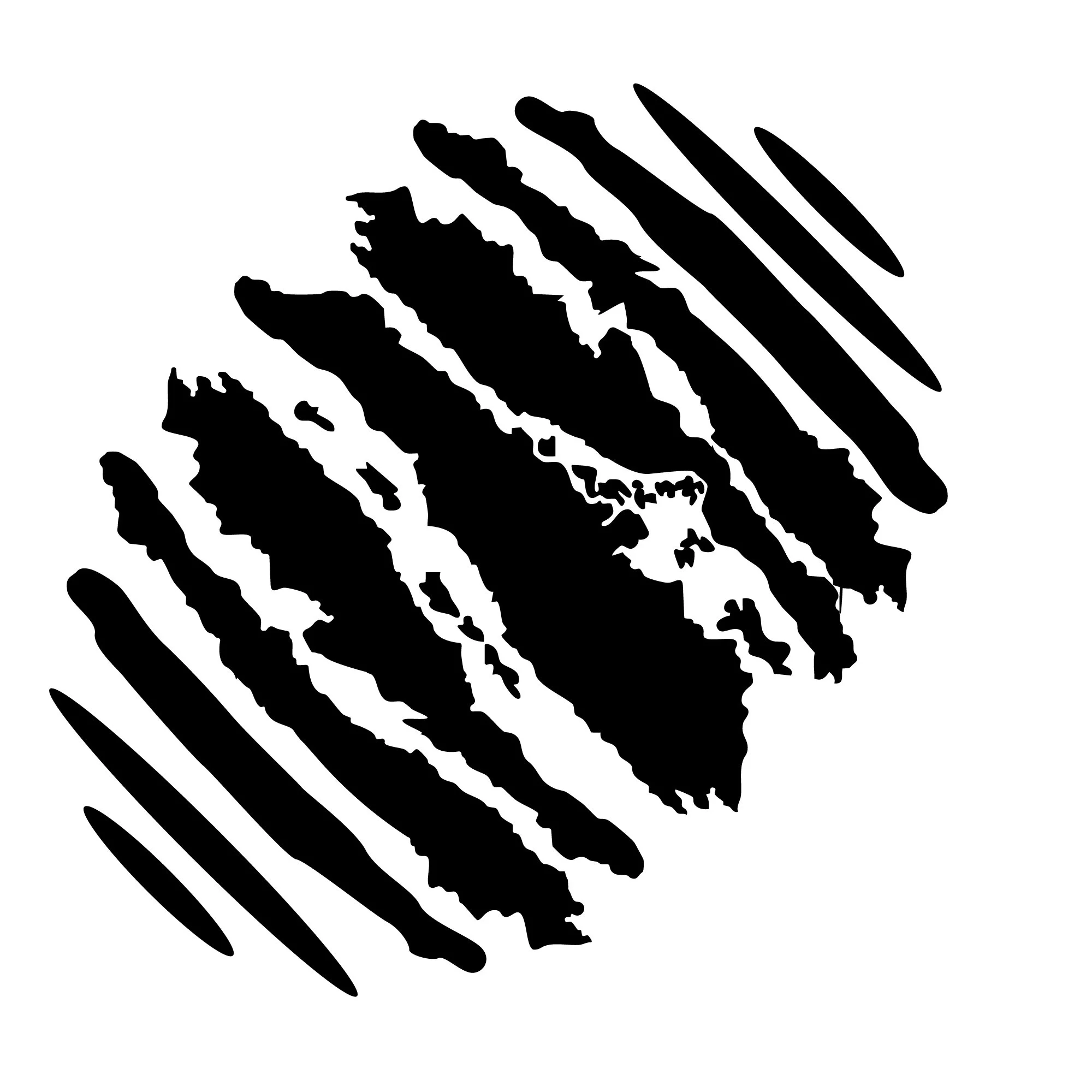 v2.jpg