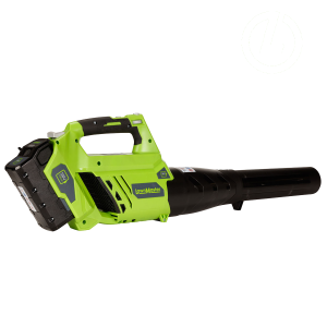 Green and black handheld leaf blower with a long black nozzle.