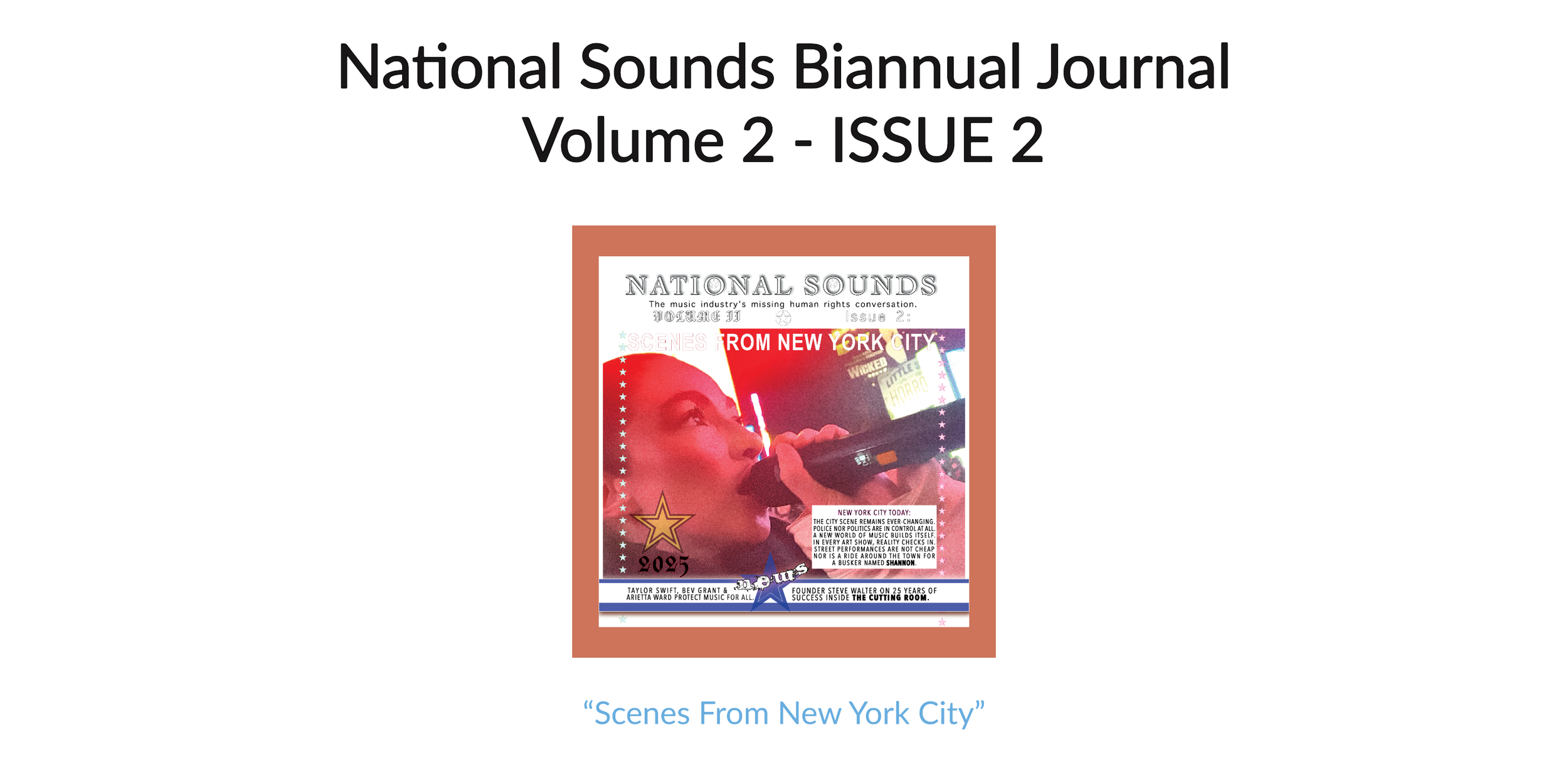 NS V2 Issue2.PNG