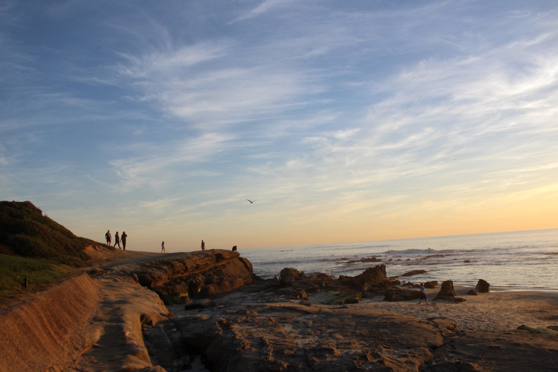 Windansea, San Diego, CA