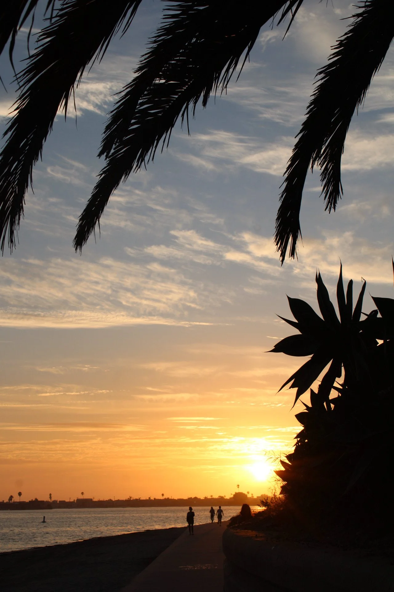 Mission Bay, San Diego, CA