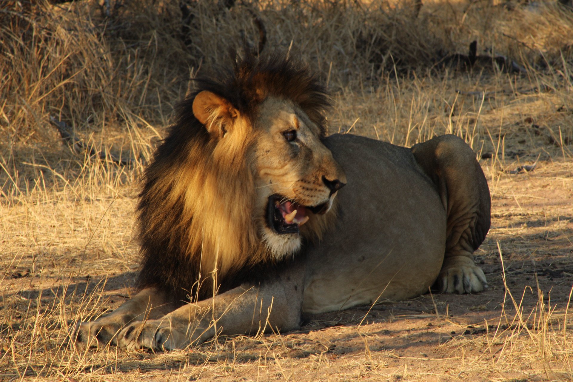 Greater Kruger Region, S. Africa