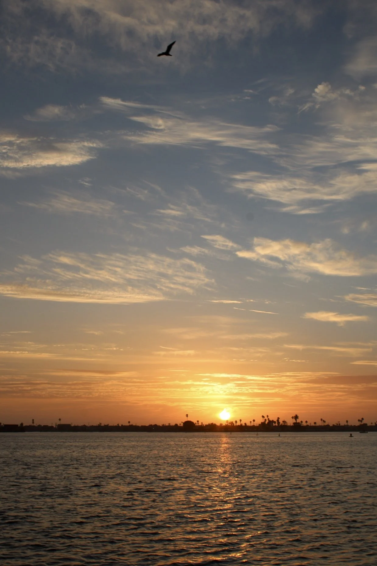 Mission Bay, San Diego, CA