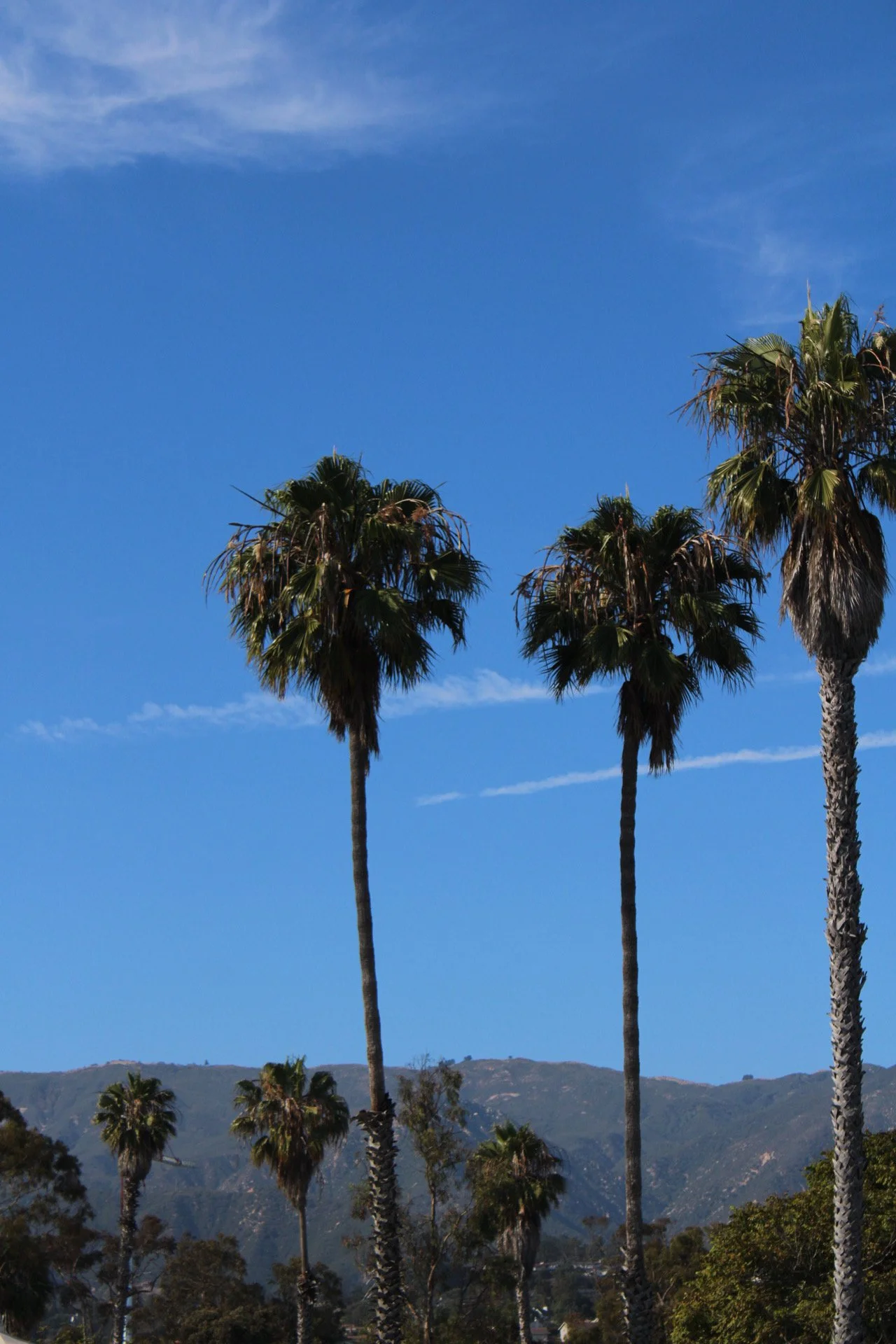 Santa Barbara, CA