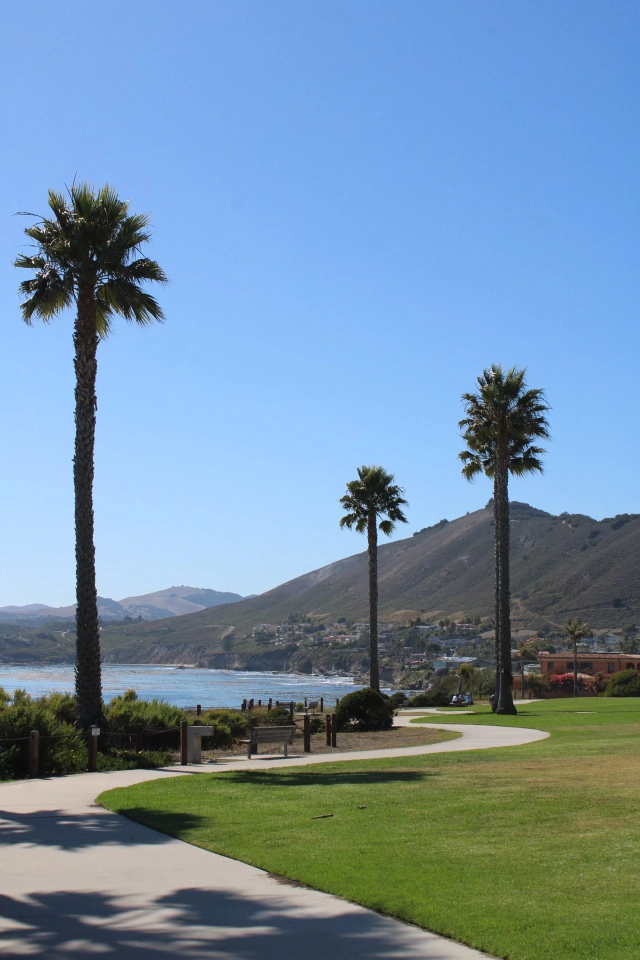 South Palisades Park, SLO, CA