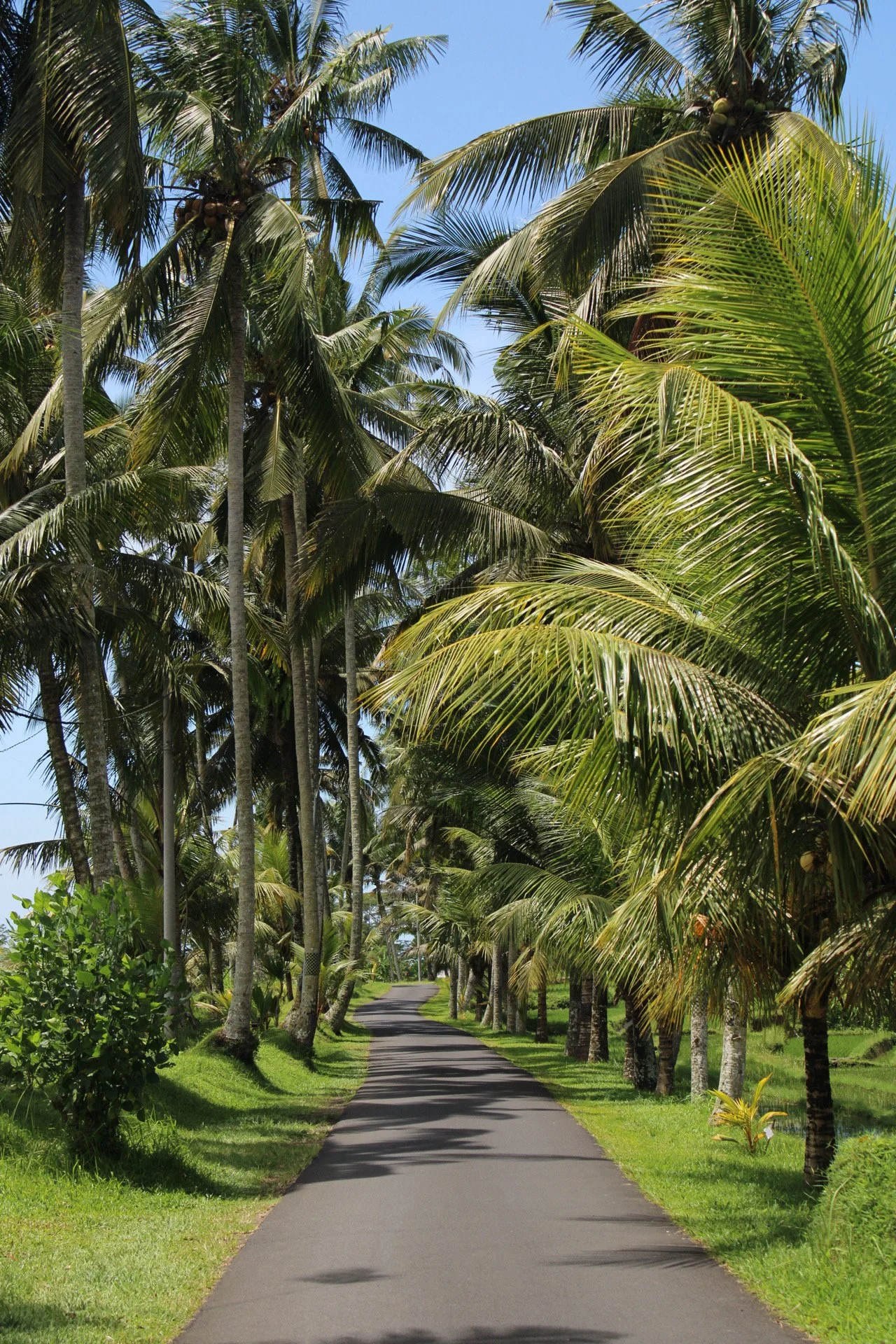 Bali, Indonesia