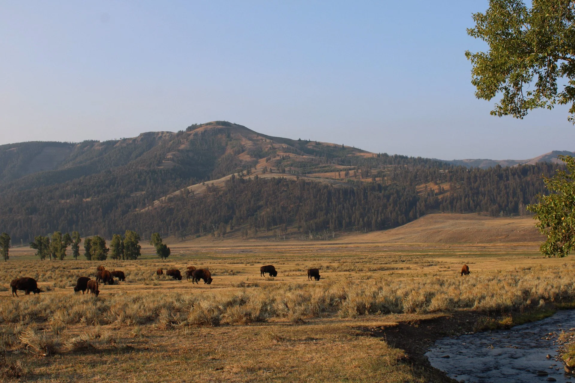 Yellowstone National Park, WY