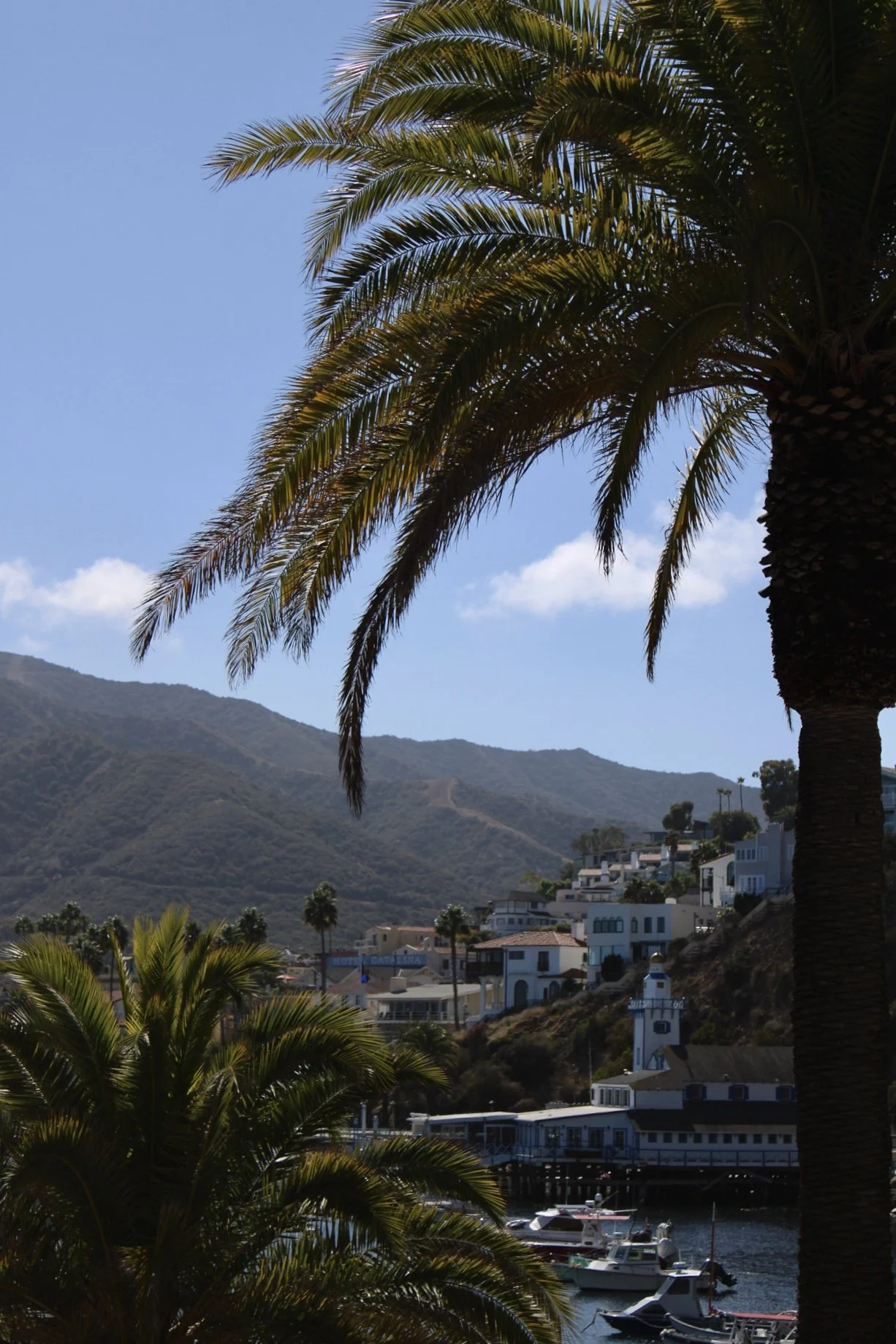 Catalina Island, CA