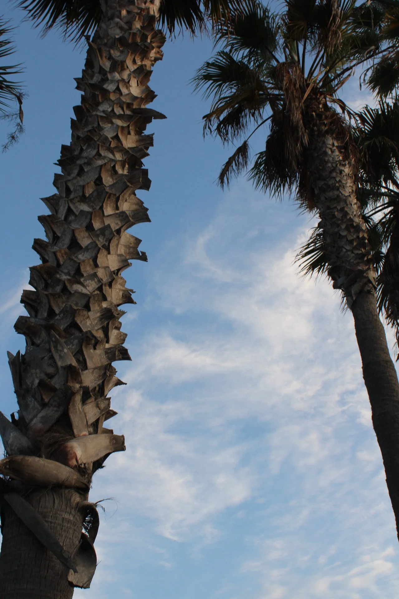 San Diego, CA