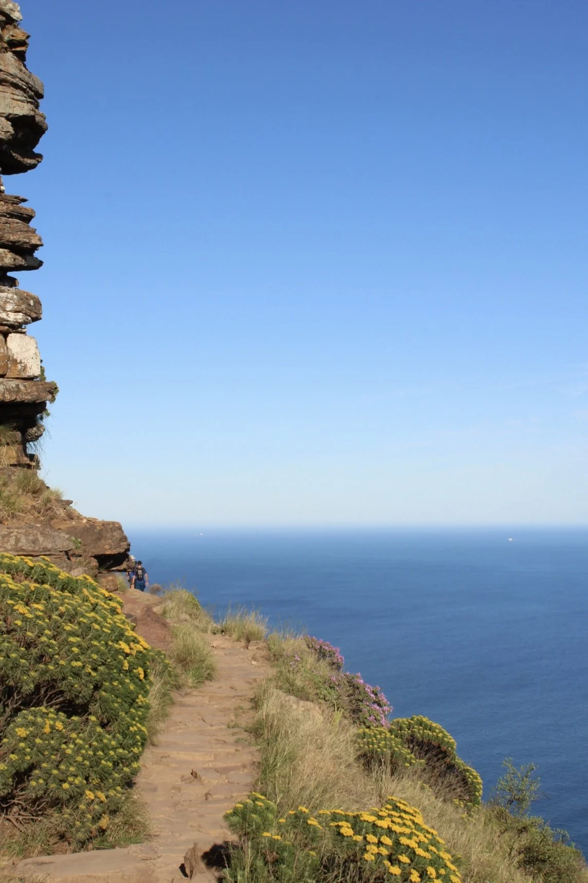 Lion's Head, Table Mountain National Park, S. Africa