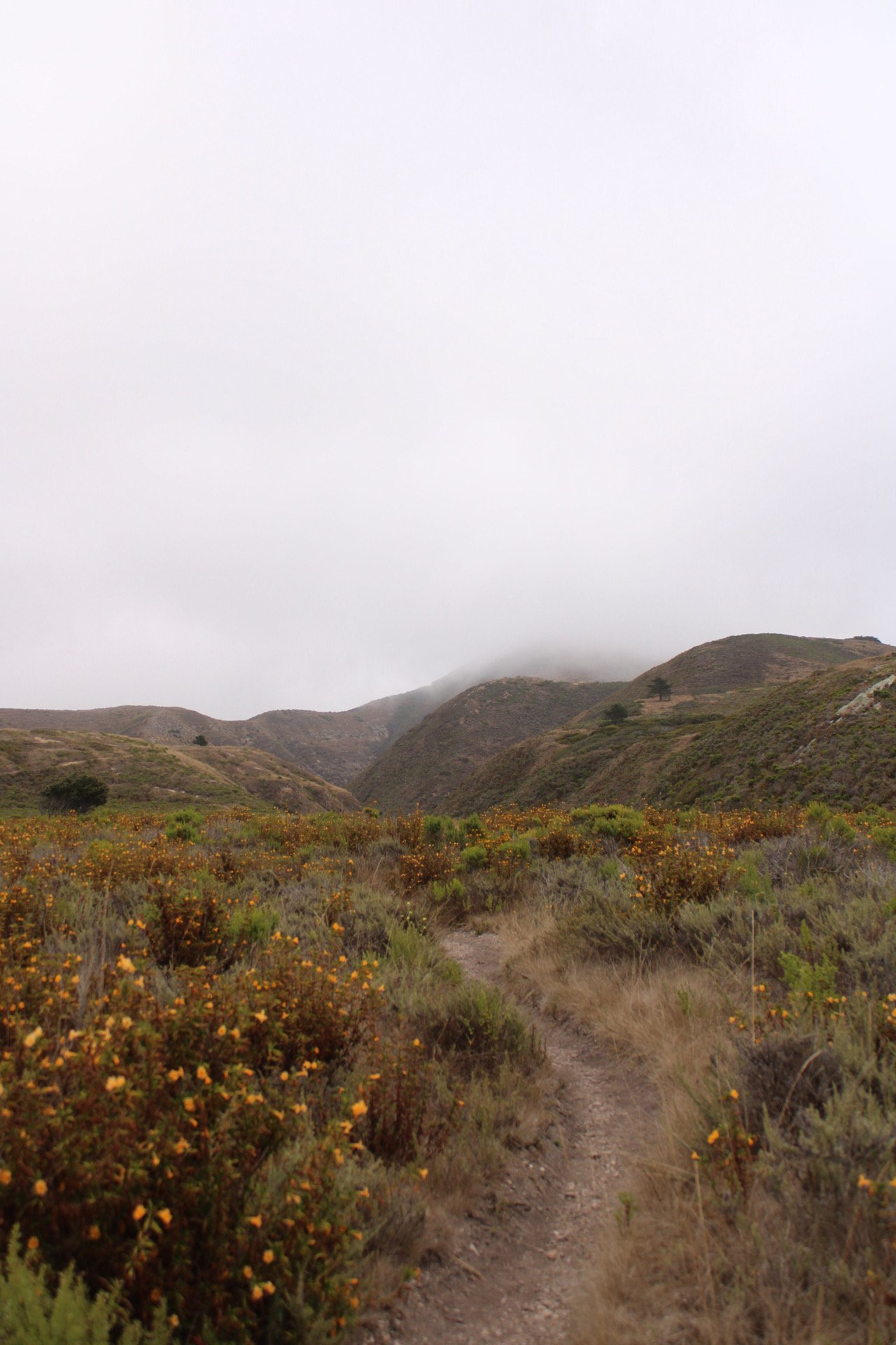 Montana de Oro State Park, SLO, CA