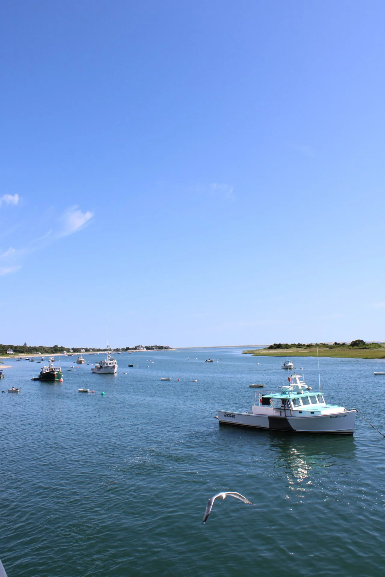 Chatham, Cape Cod, MA