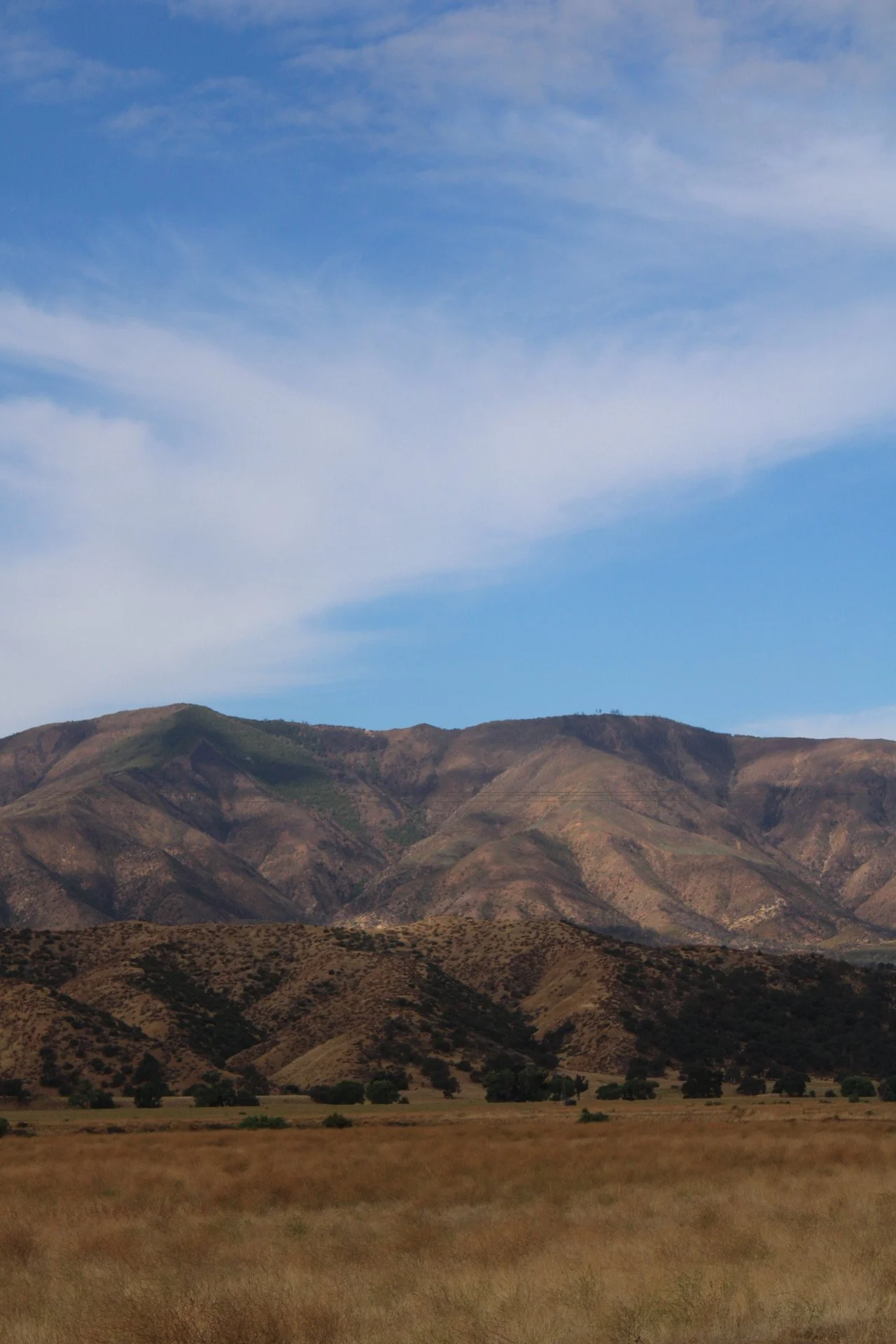 New Cuyama, CA