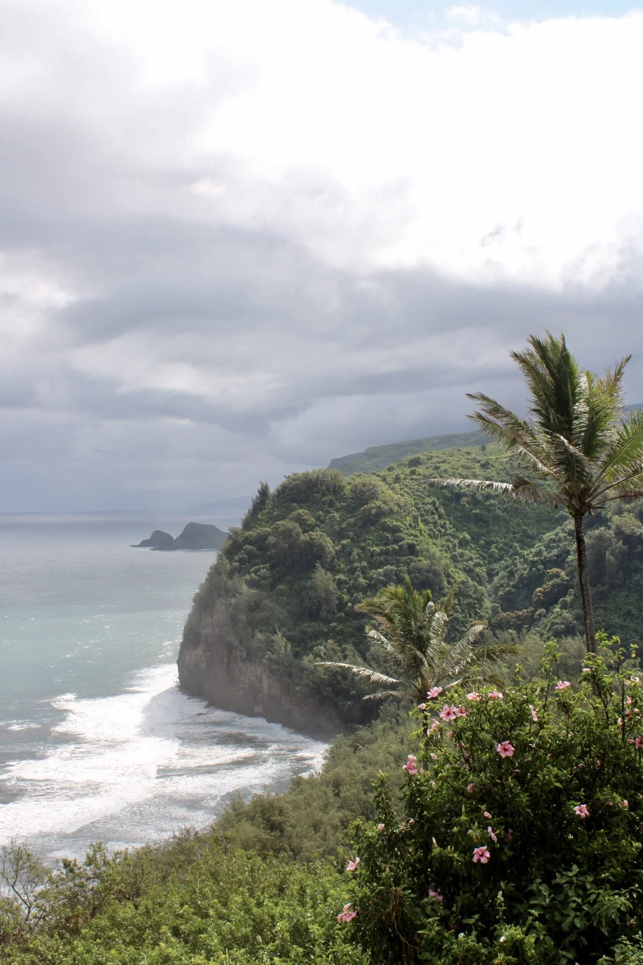 Pololu Trail, Big Island, HI