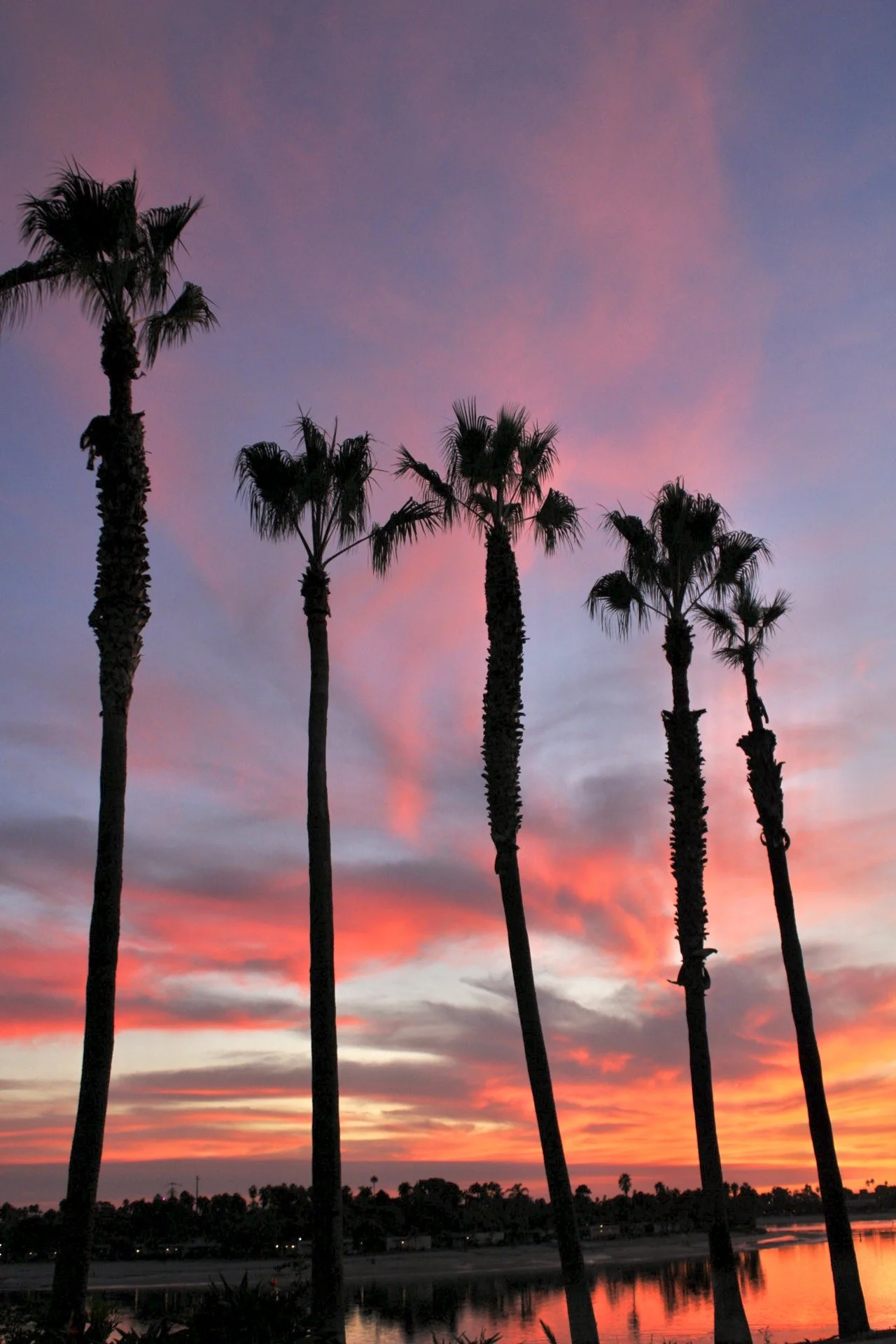 Mission Bay, San Diego, CA