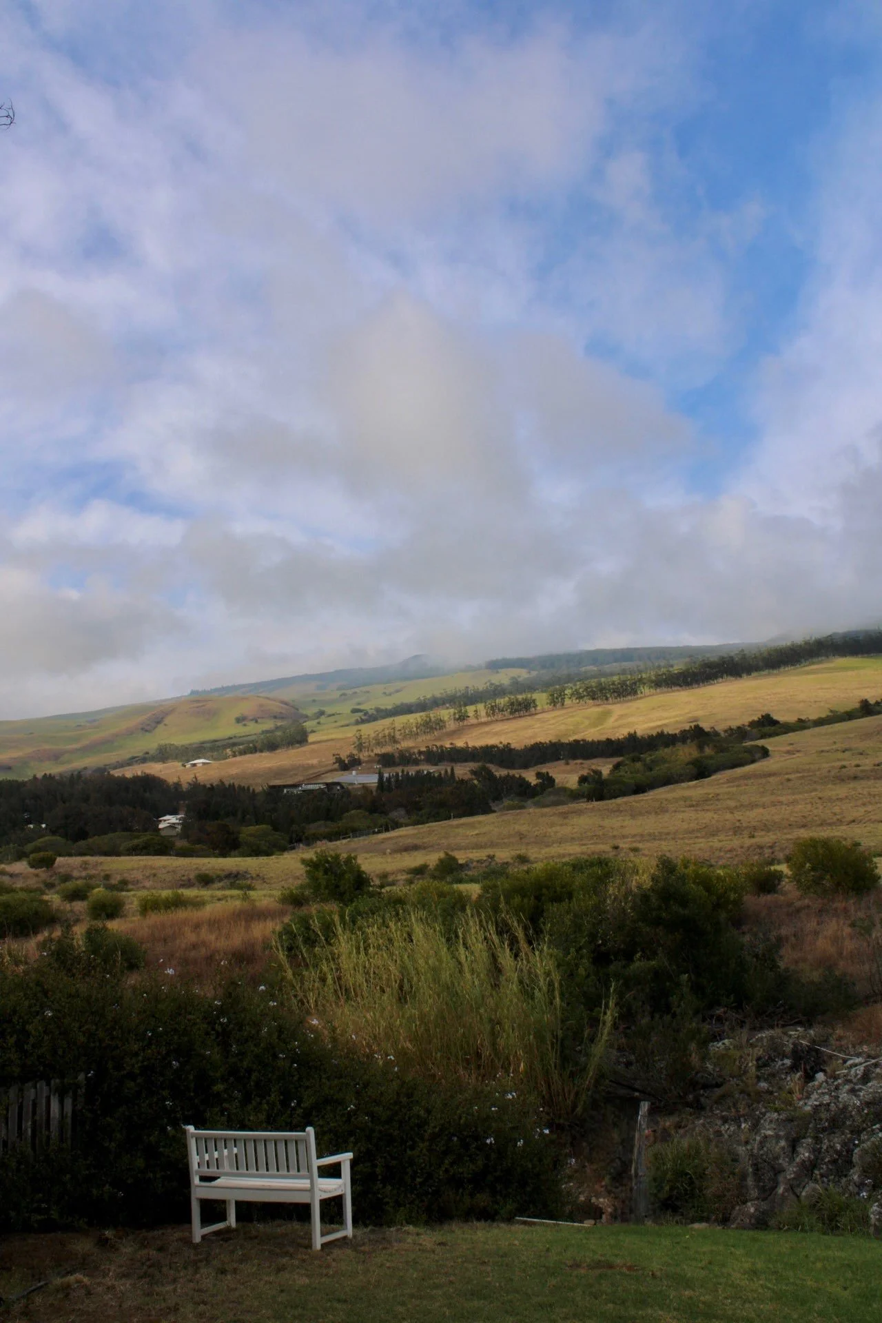Waimea, Big Island, HI