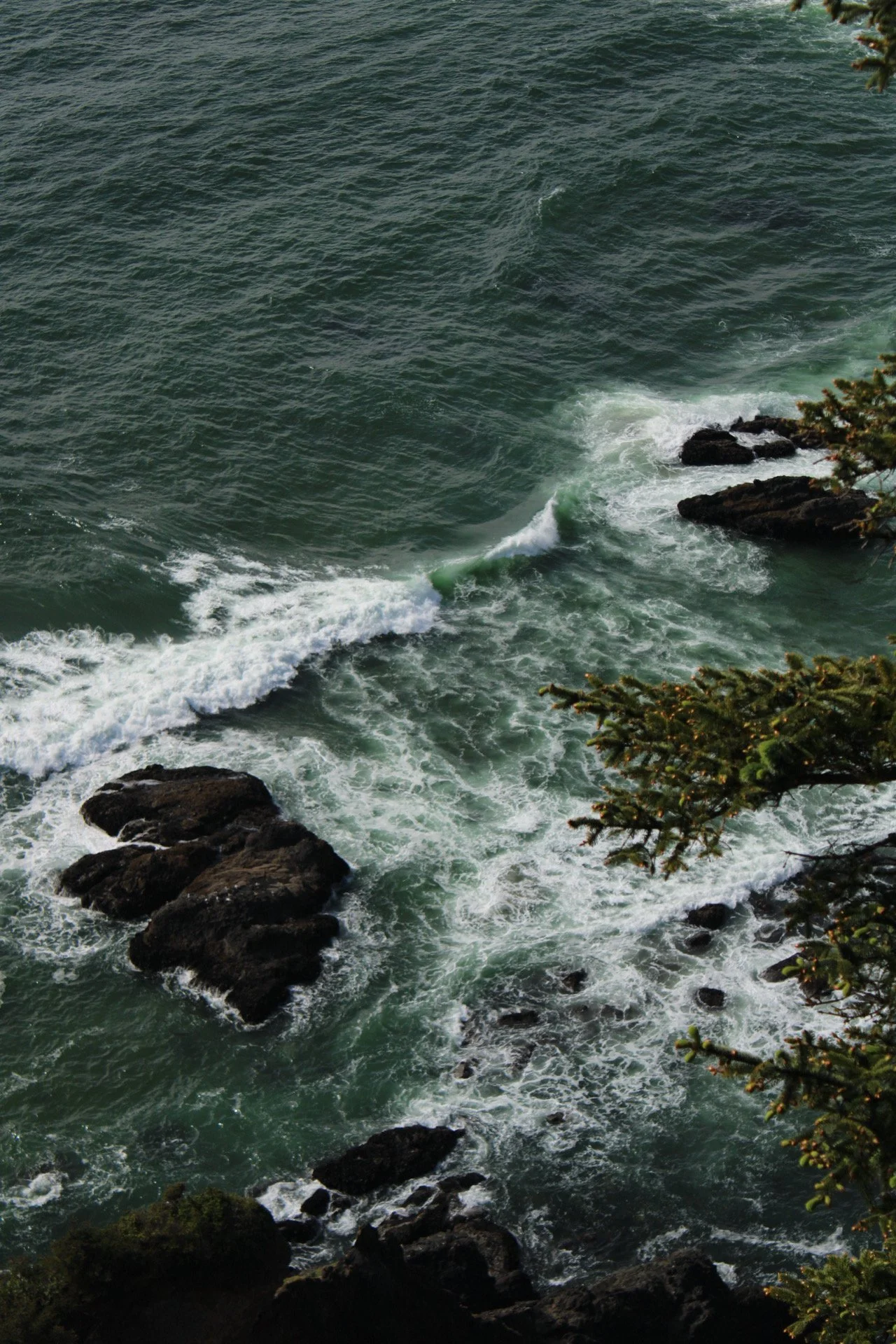 Oregon Coast