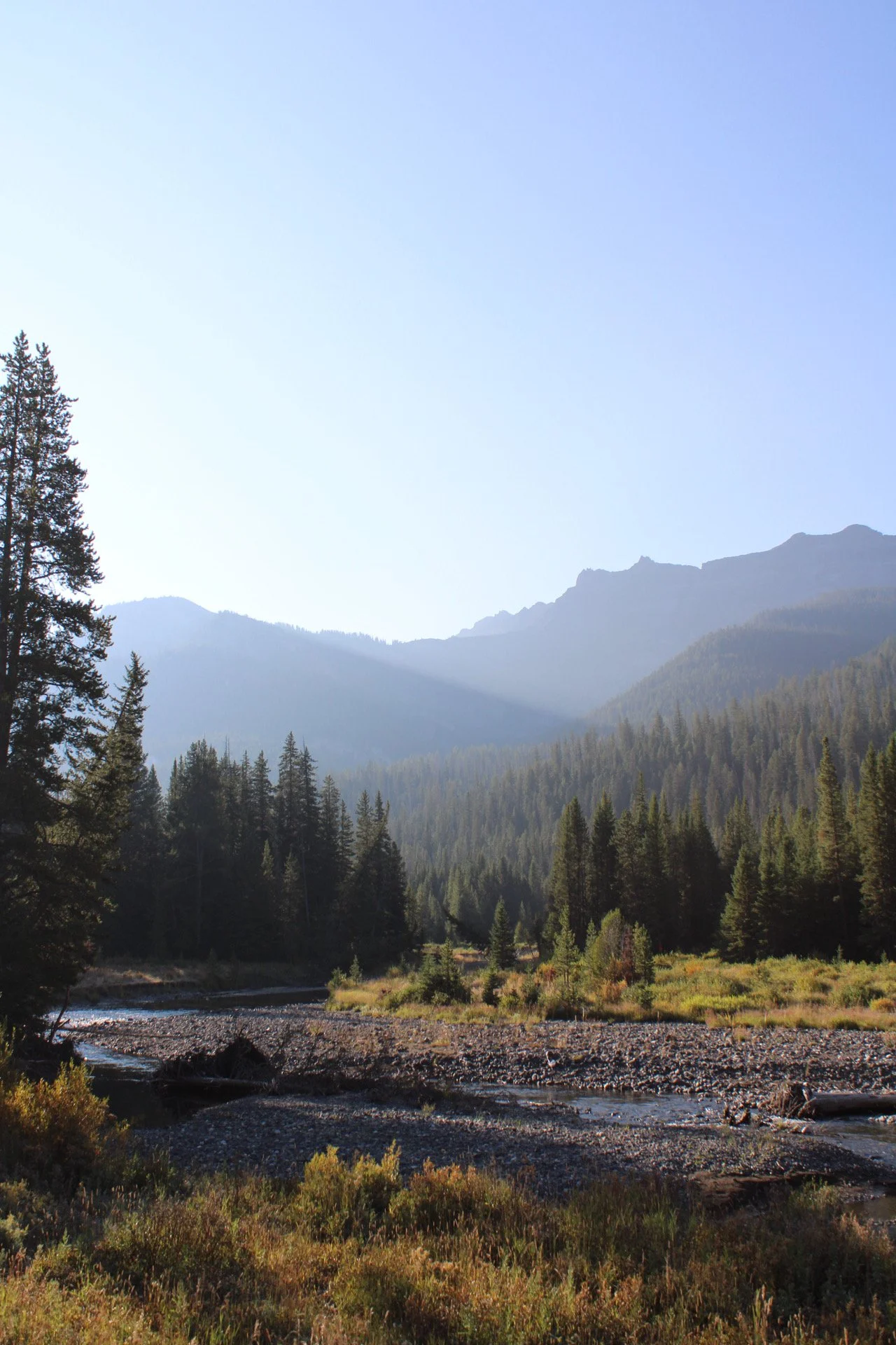 Yellowstone National Park, WY