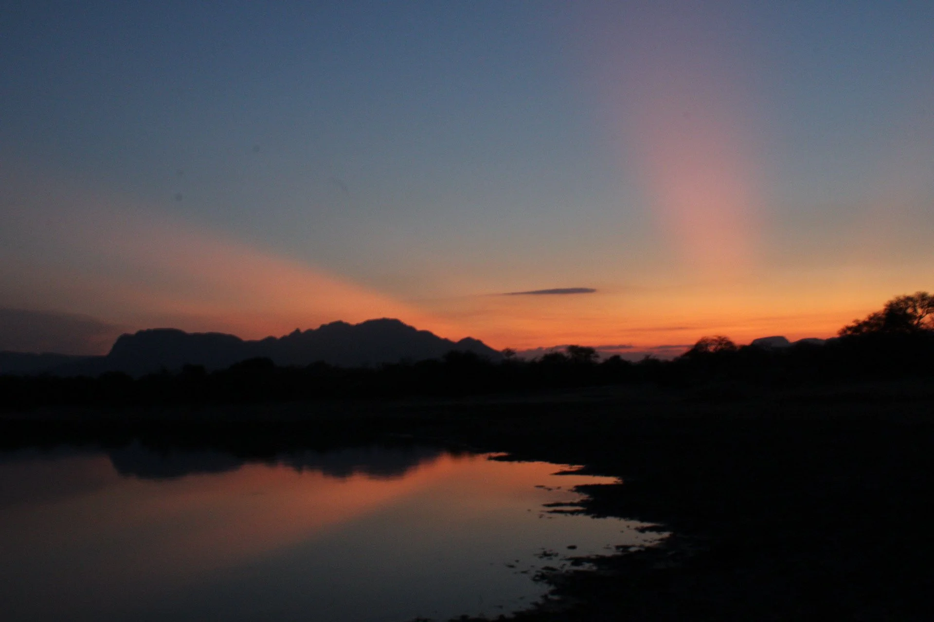 Greater Kruger Region, S. Africa