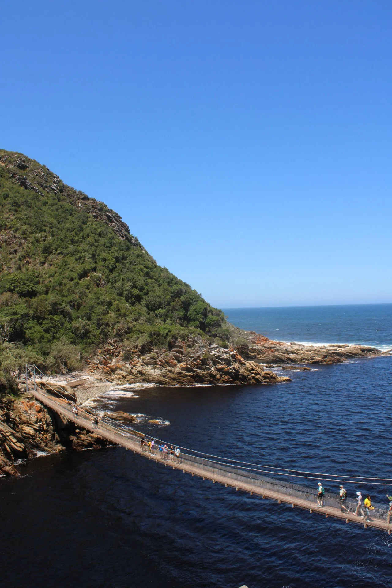Tsitsikamma National Park, S. Africa