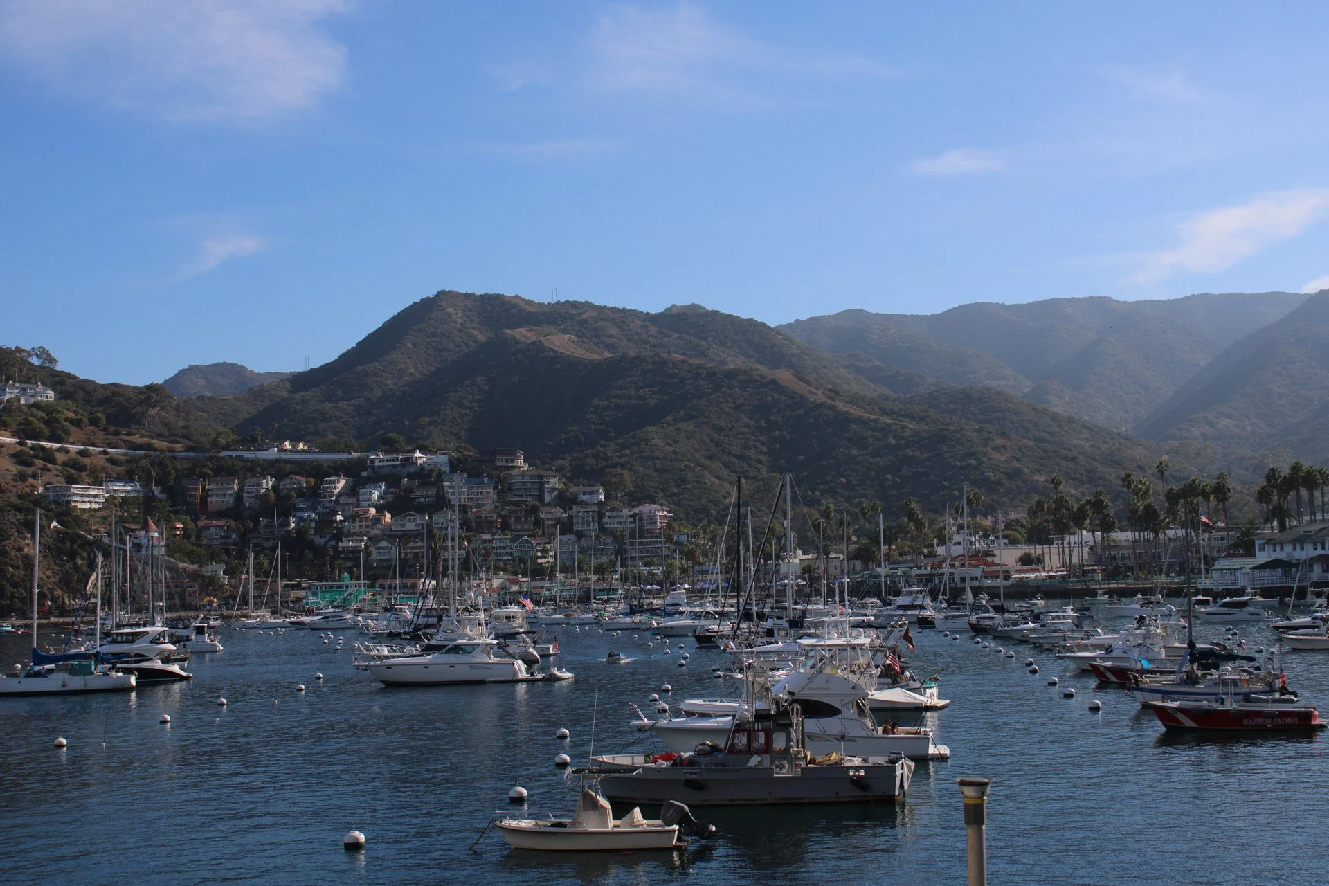 Catalina Island, CA