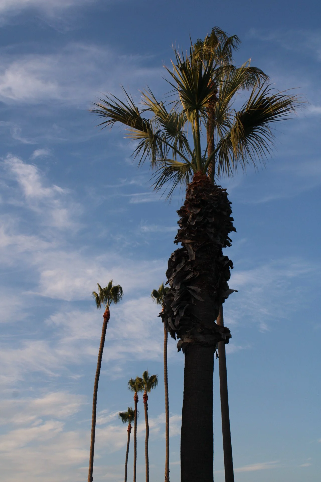 San Diego, CA