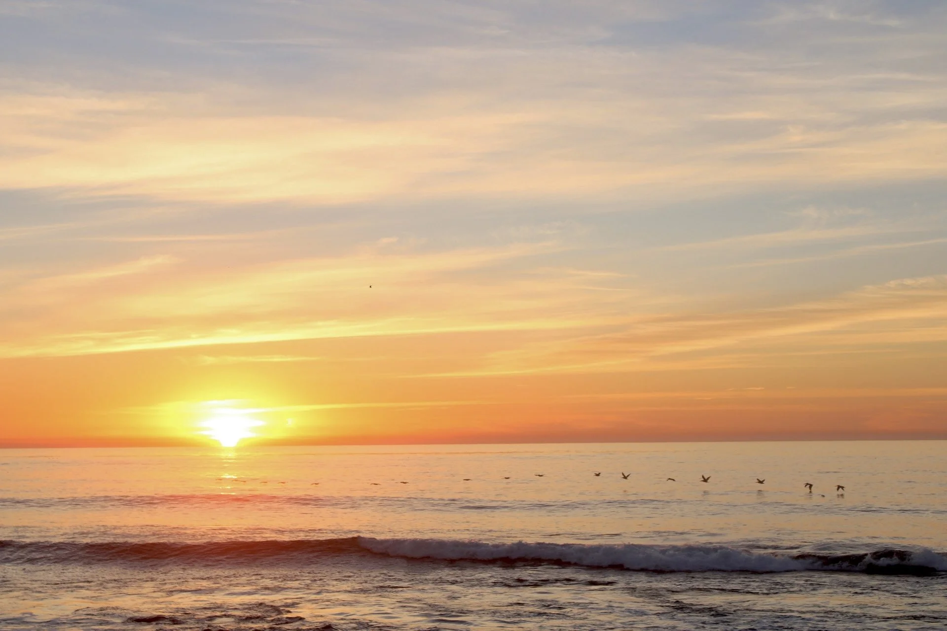 Windansea, San Diego, CA