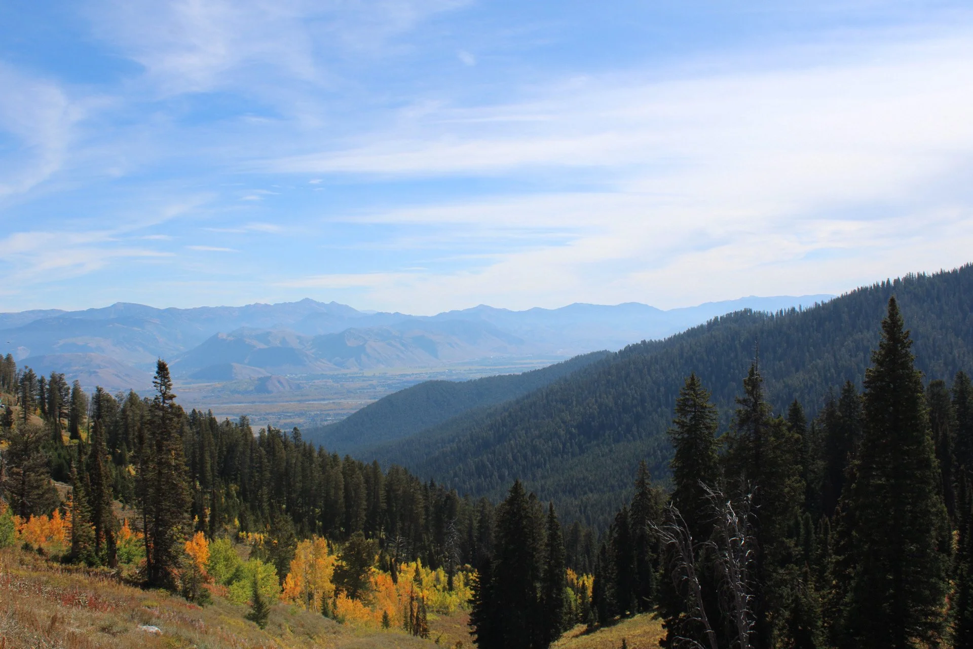 Jackson Hole, WY (Aerial)