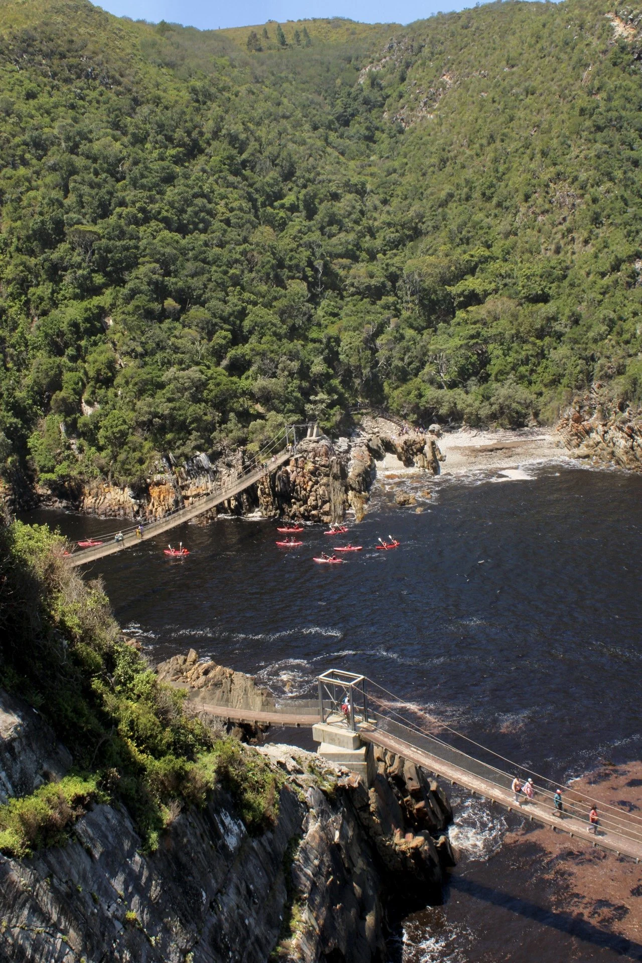 Tsitsikamma National Park, S. Africa
