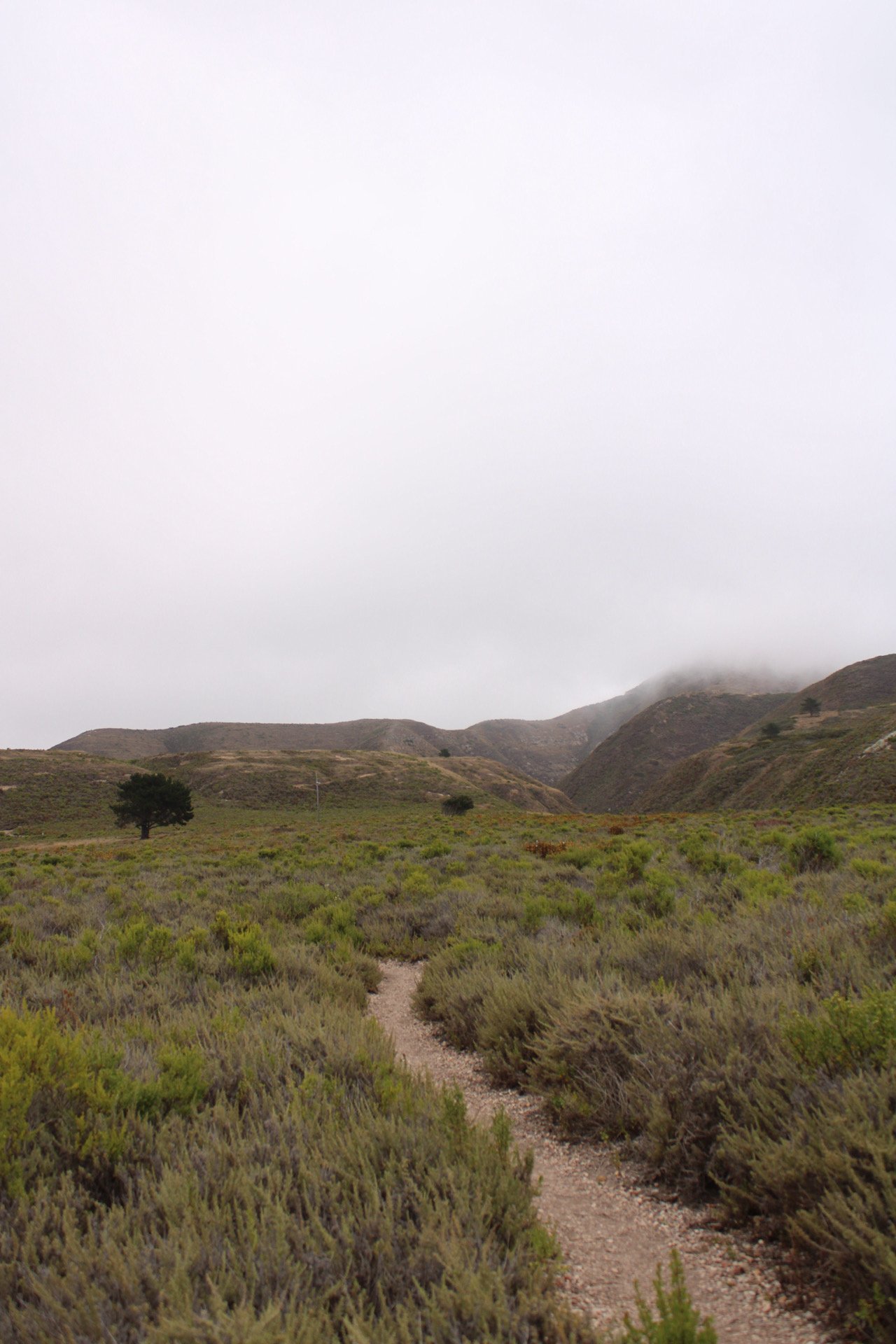Montana de Oro State Park, SLO, CA
