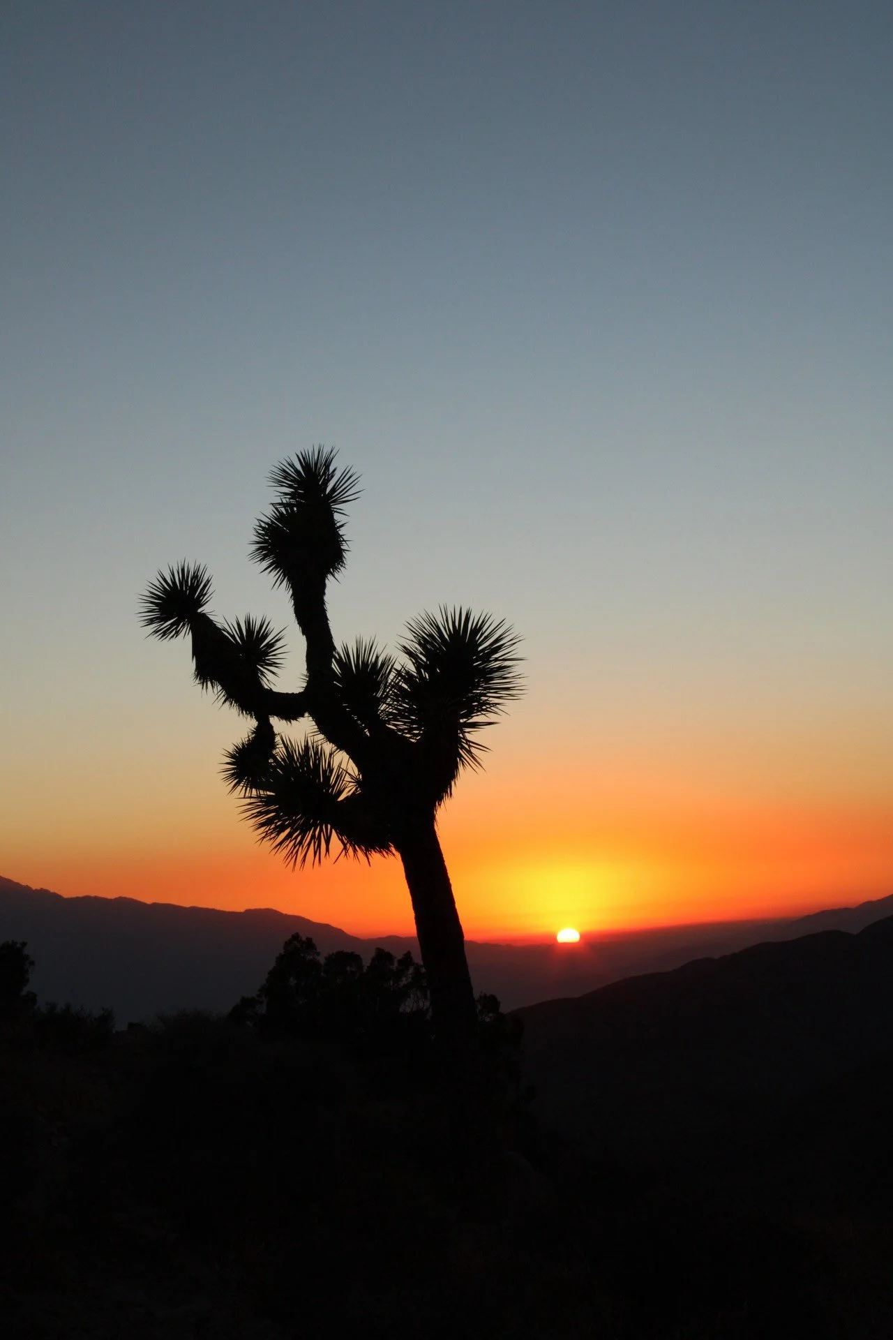 Joshua Tree National Park, CA