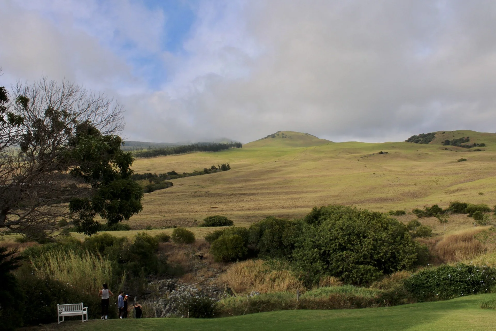 Waimea, Big Island, HI