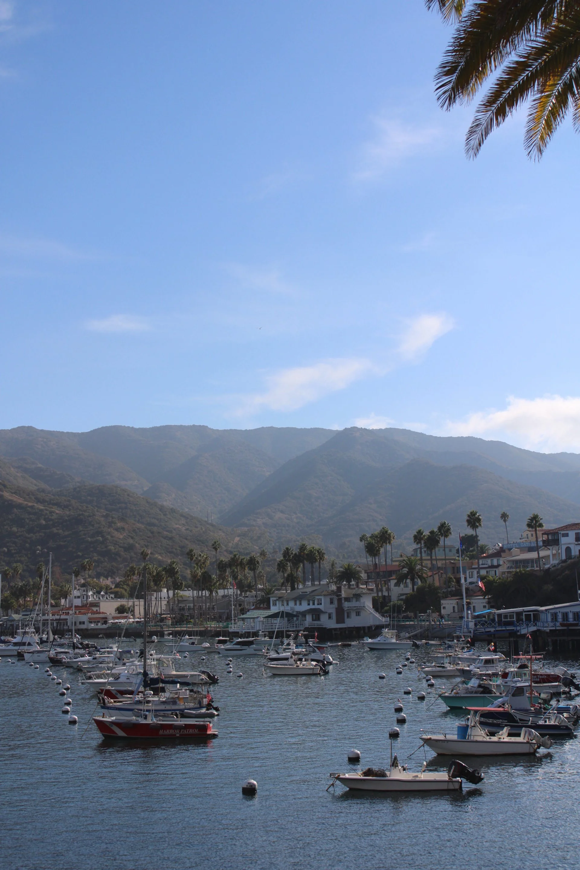 Catalina Island, CA