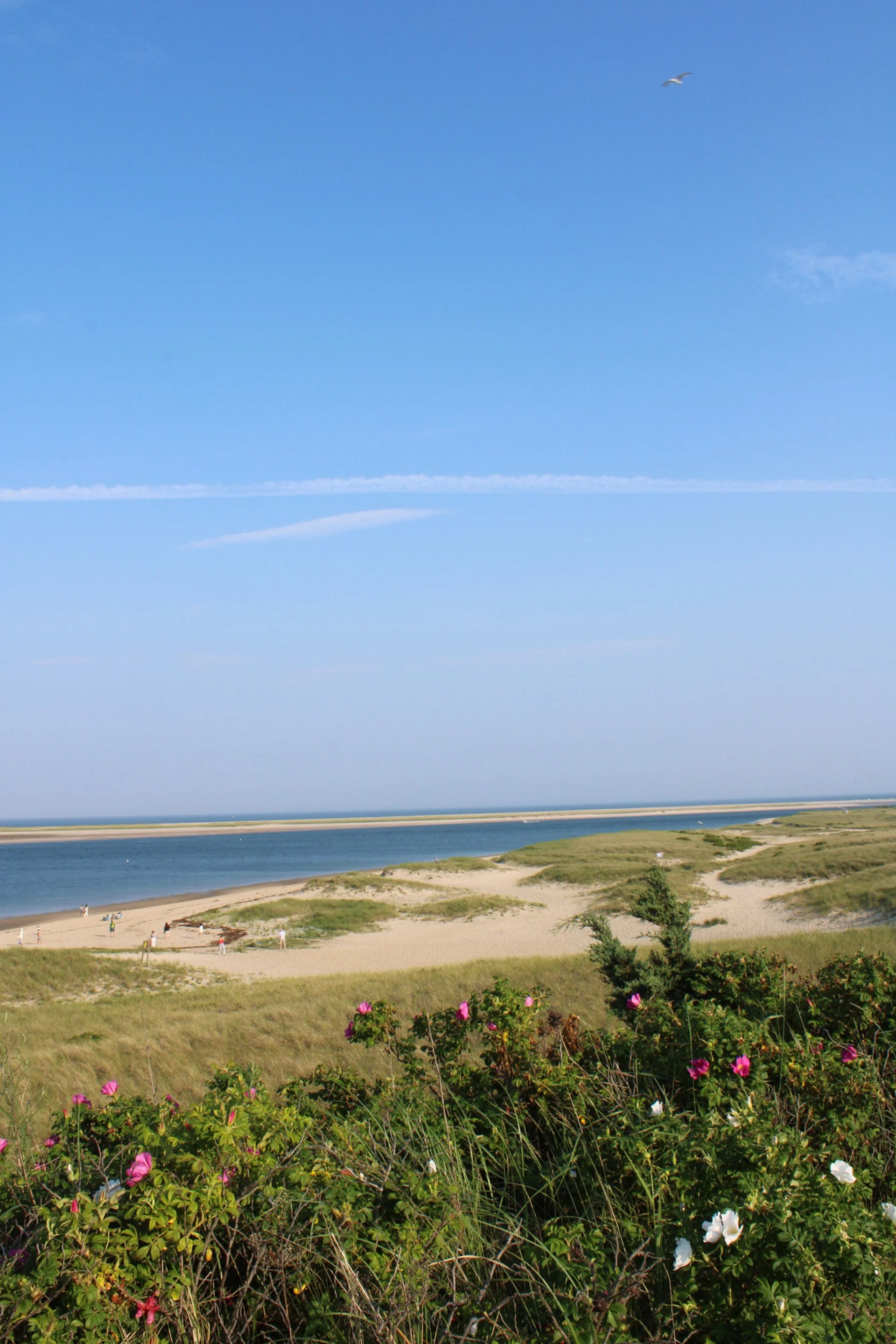 Lighthouse Beach, Cape Cod, MA