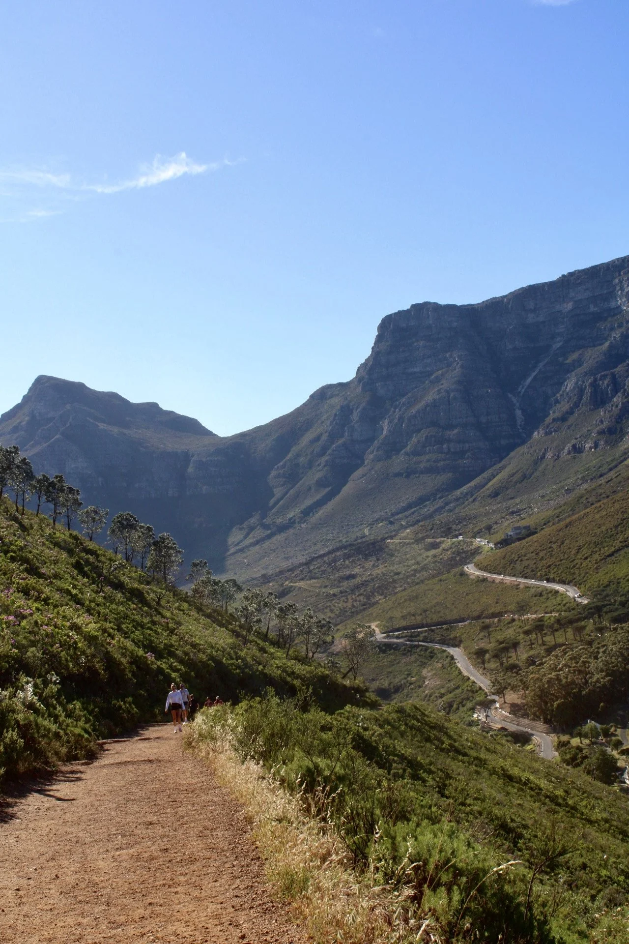 Table Mountain National Park, S. Africa