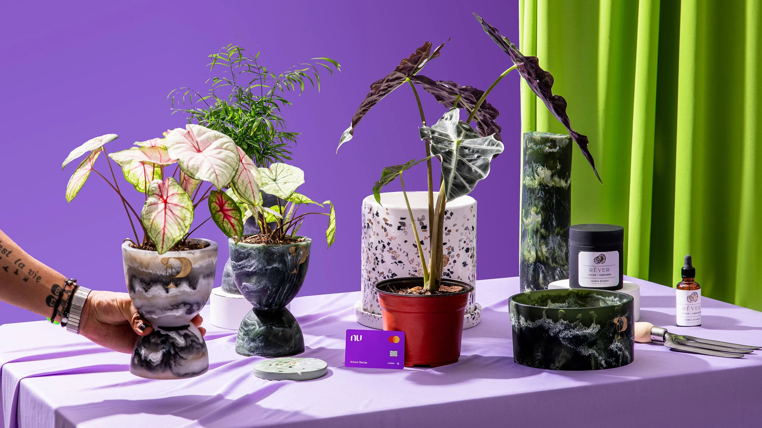 La Diversidad Transforma Nu