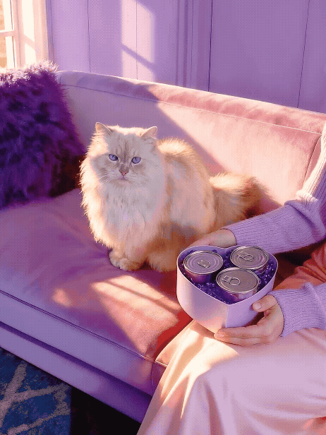 Nu Mexico Tone Olvera