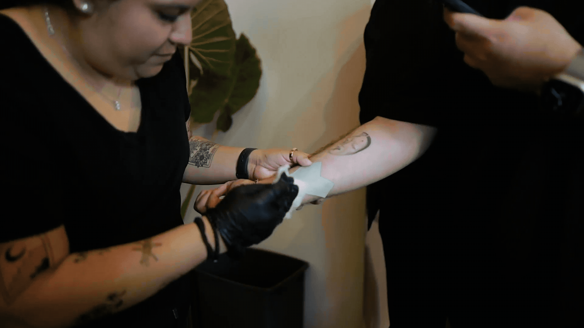 nu belinda toneolvera