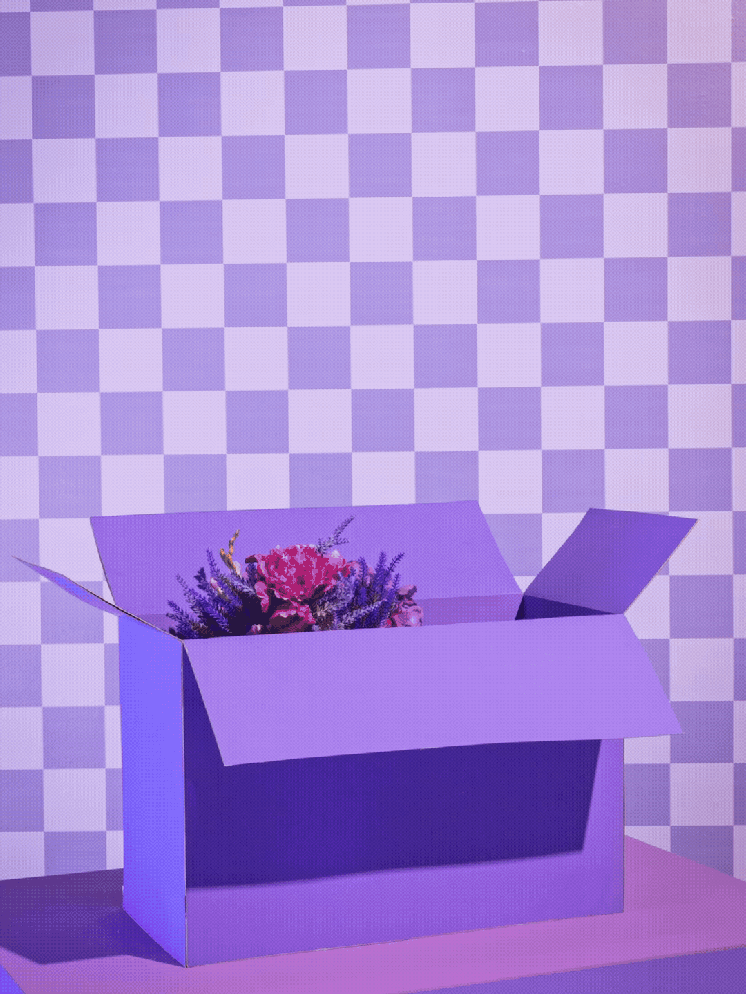 Nu Mexico Tone Olvera