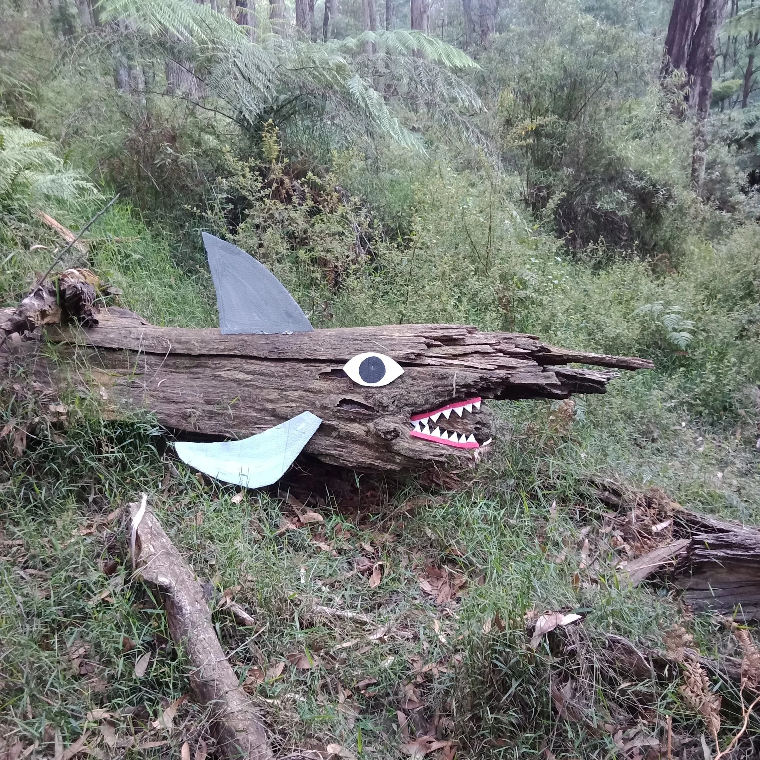Forest Shark.