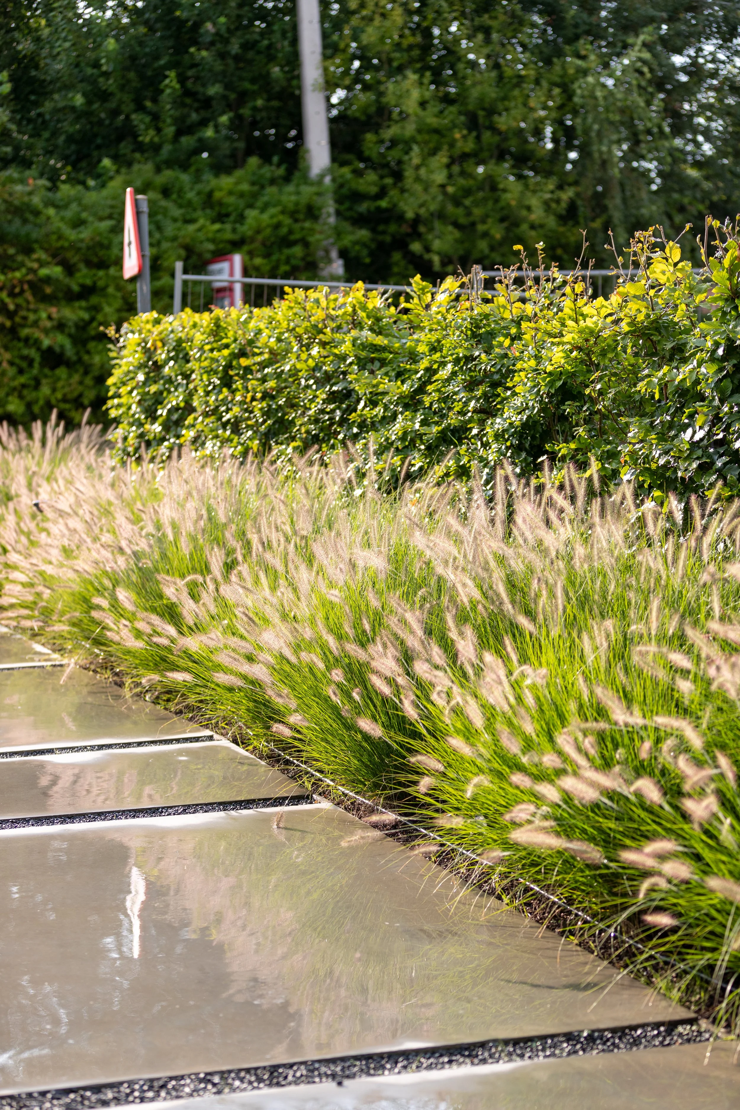Siergrassen langs een moderne oprit met betonplaten en groene haag, tuinontwerp door Tuinarchitect Florian
