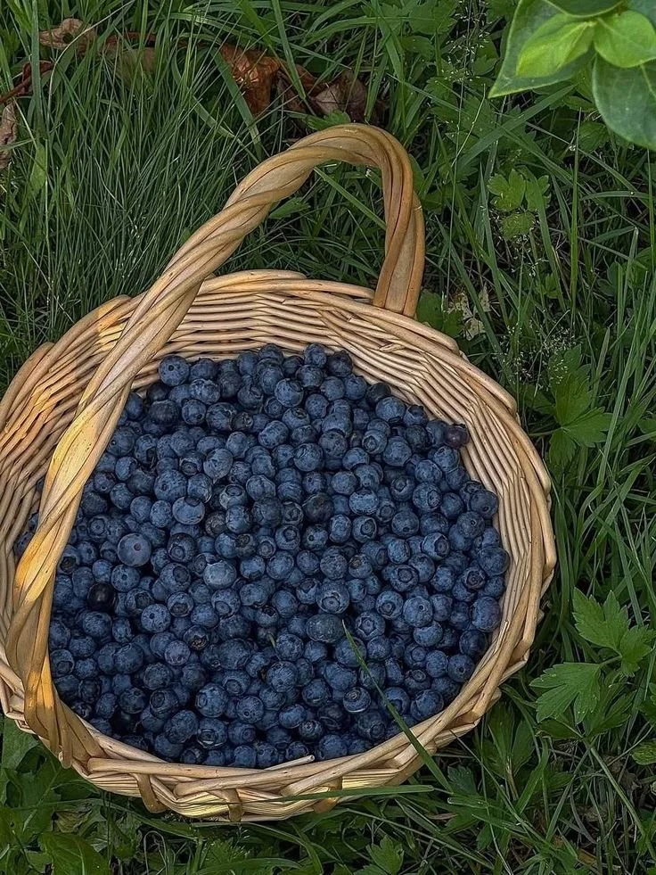 Why I Am A South Asian Sex Therapist