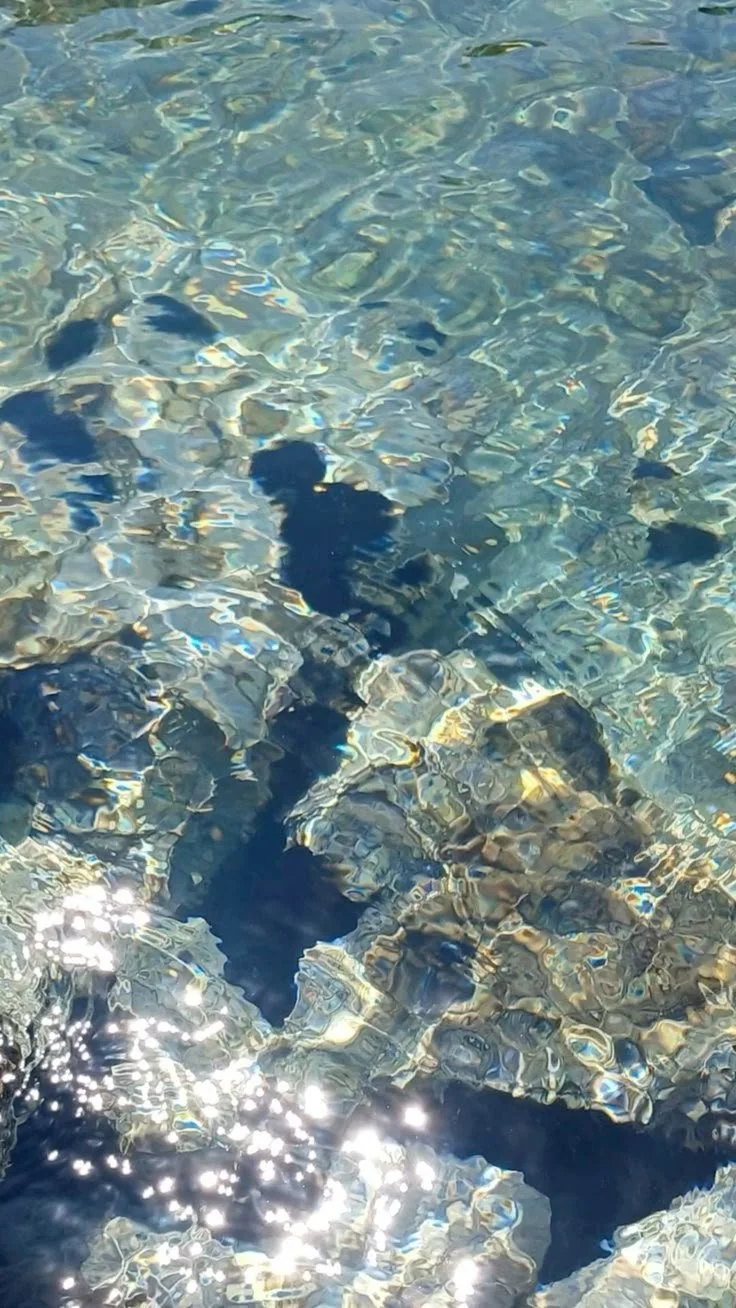 Shallow clear water over rocks with sunlight reflecting on the surface.