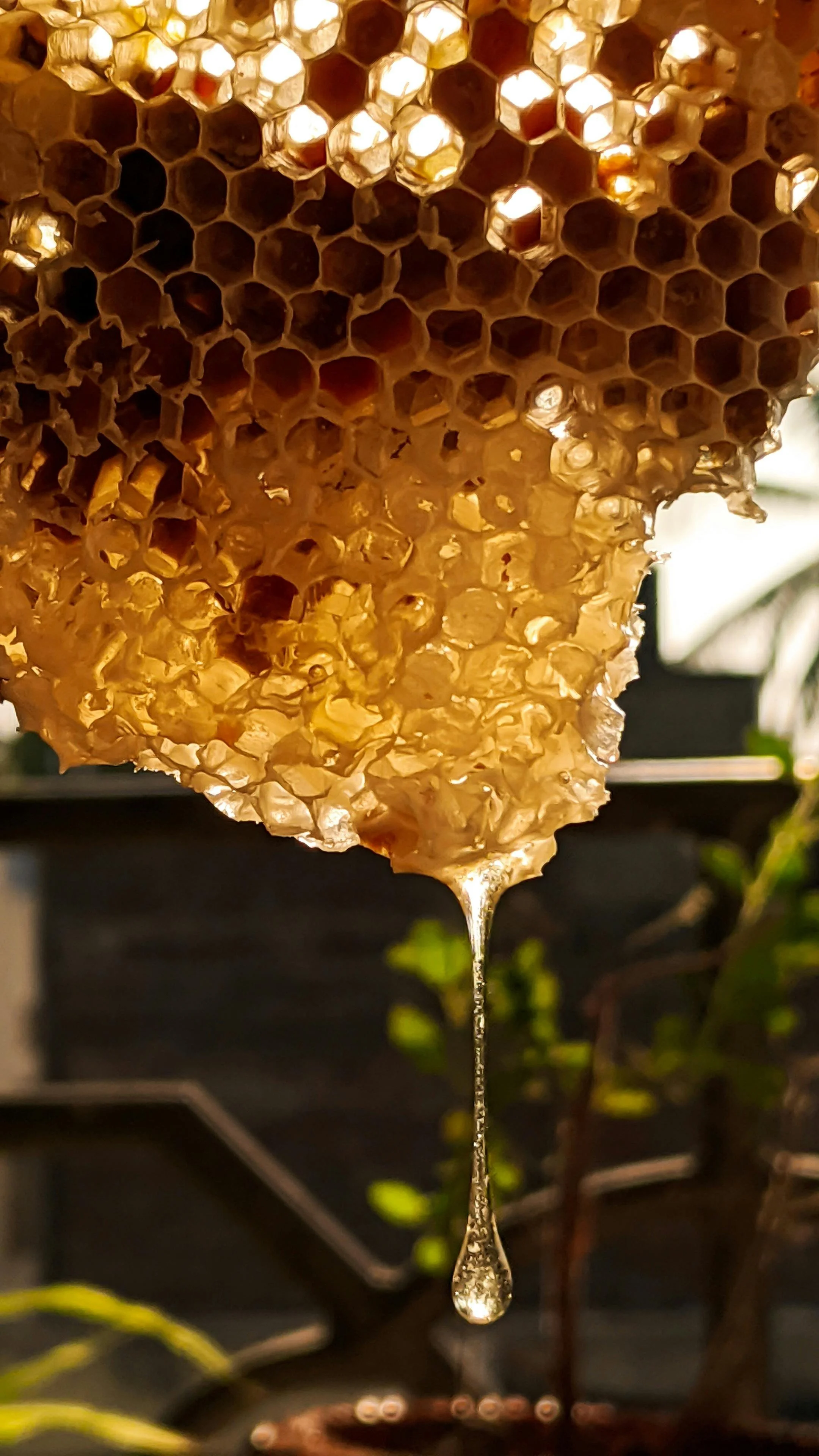 A beekeeper in a beige protective suit and veil tending to wooden beehives outdoors during sunset.