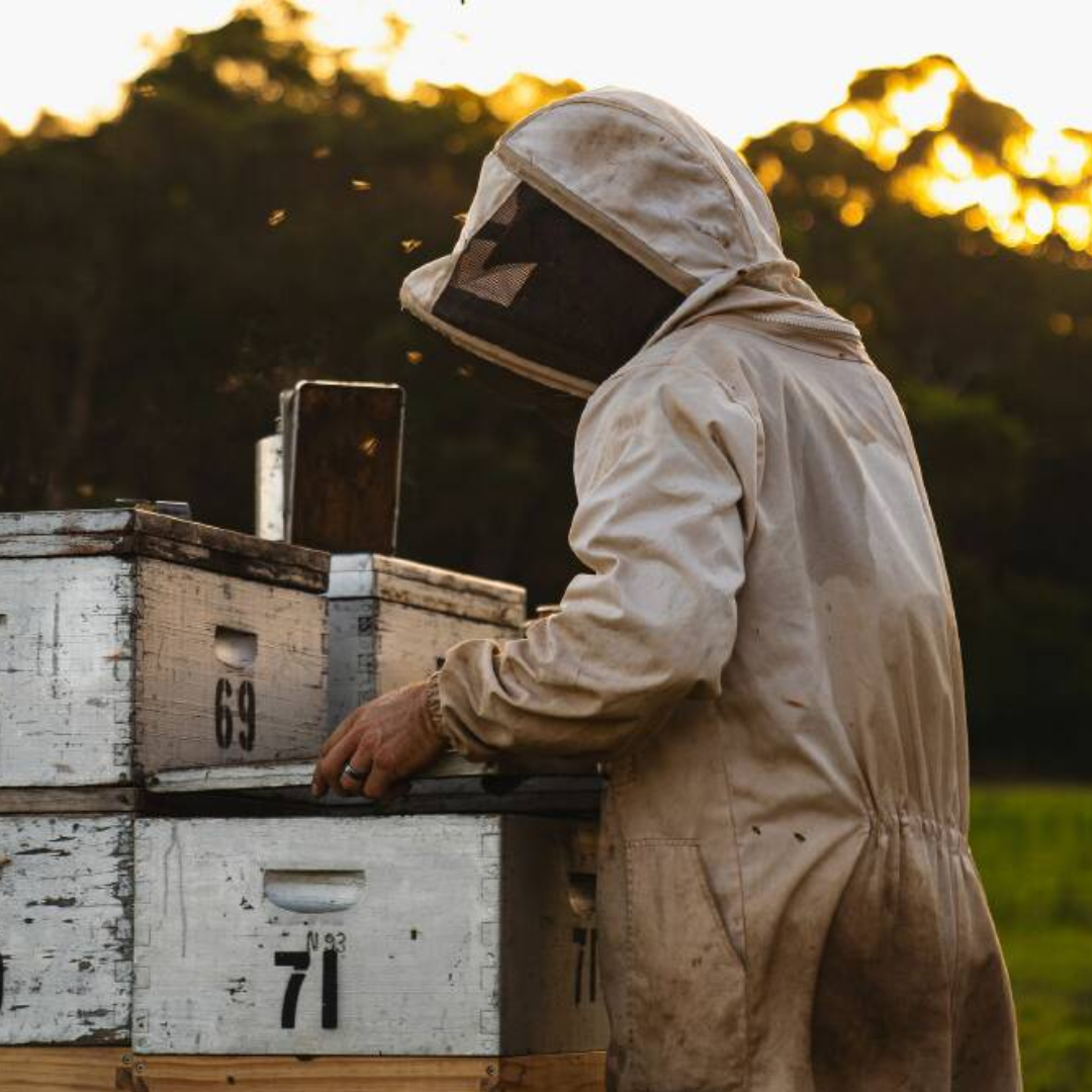 Pemberton Honey