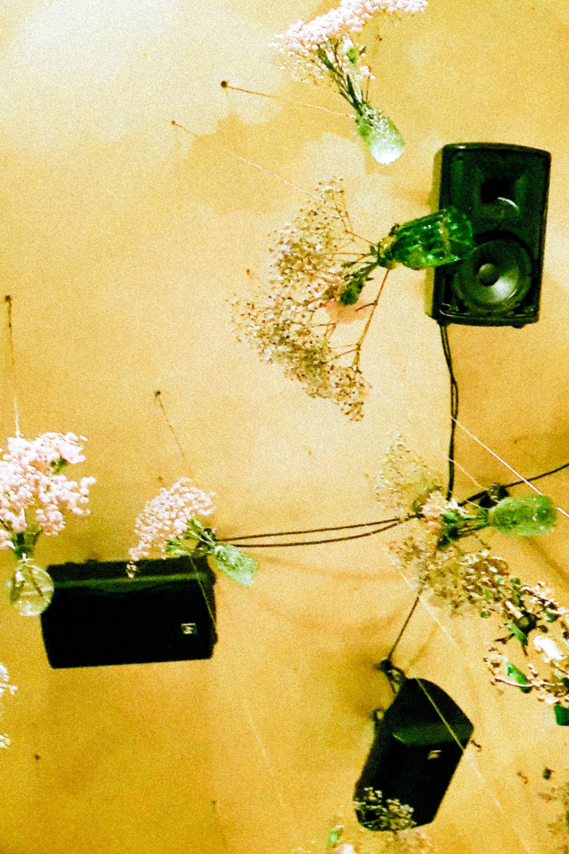 A ceiling with a yellowish tone, decorated with dangling flowers and greenery. There are small black speakers mounted on the wall, connected by an electrical cord.